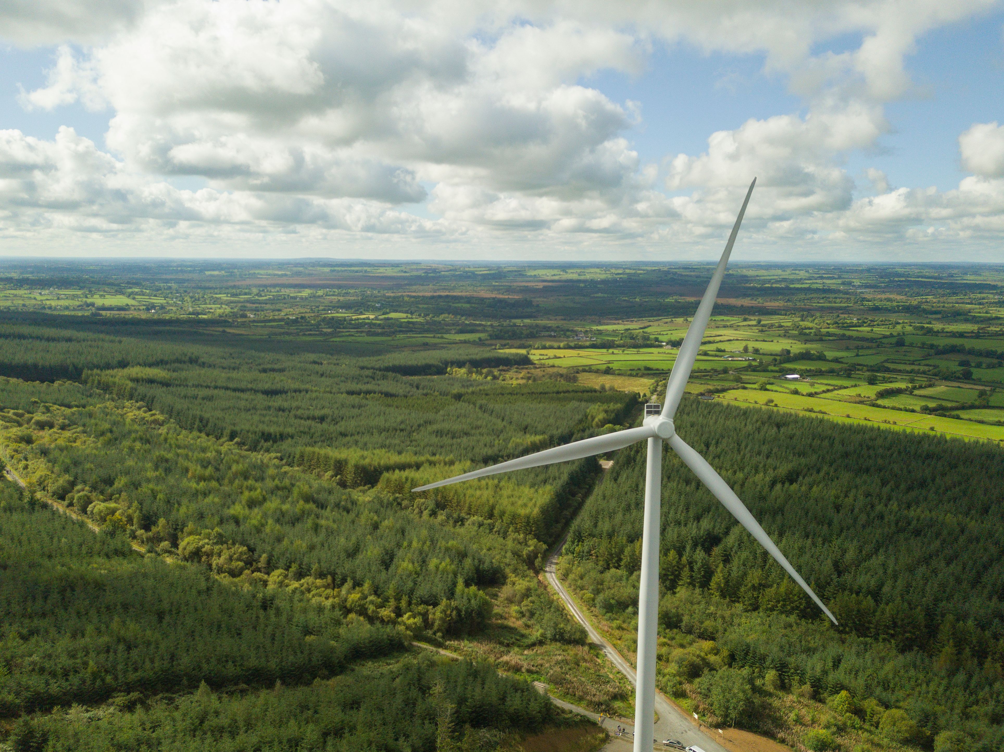 Wind turbines in a forest Wind turbines in a forest