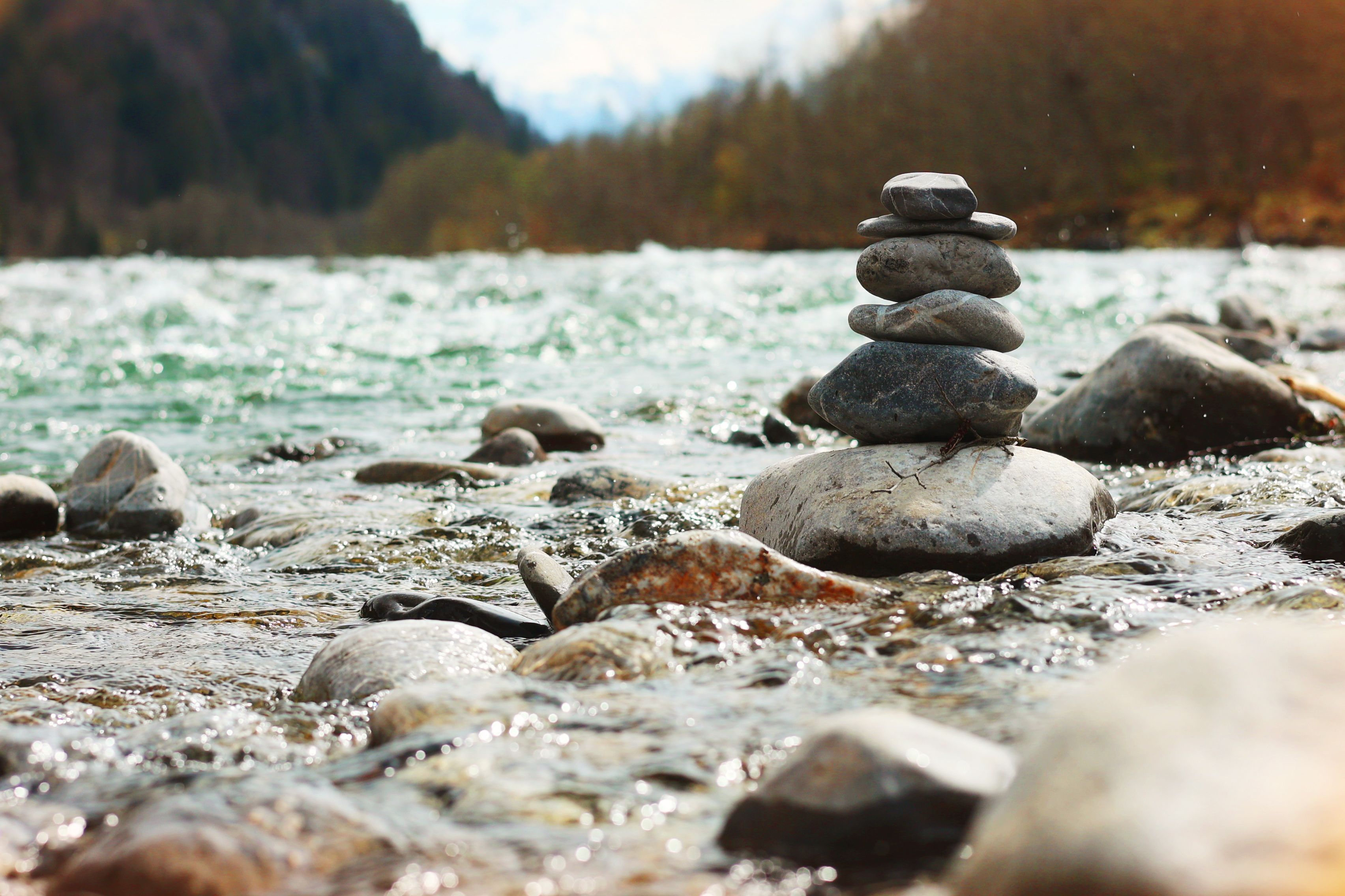 balance nature