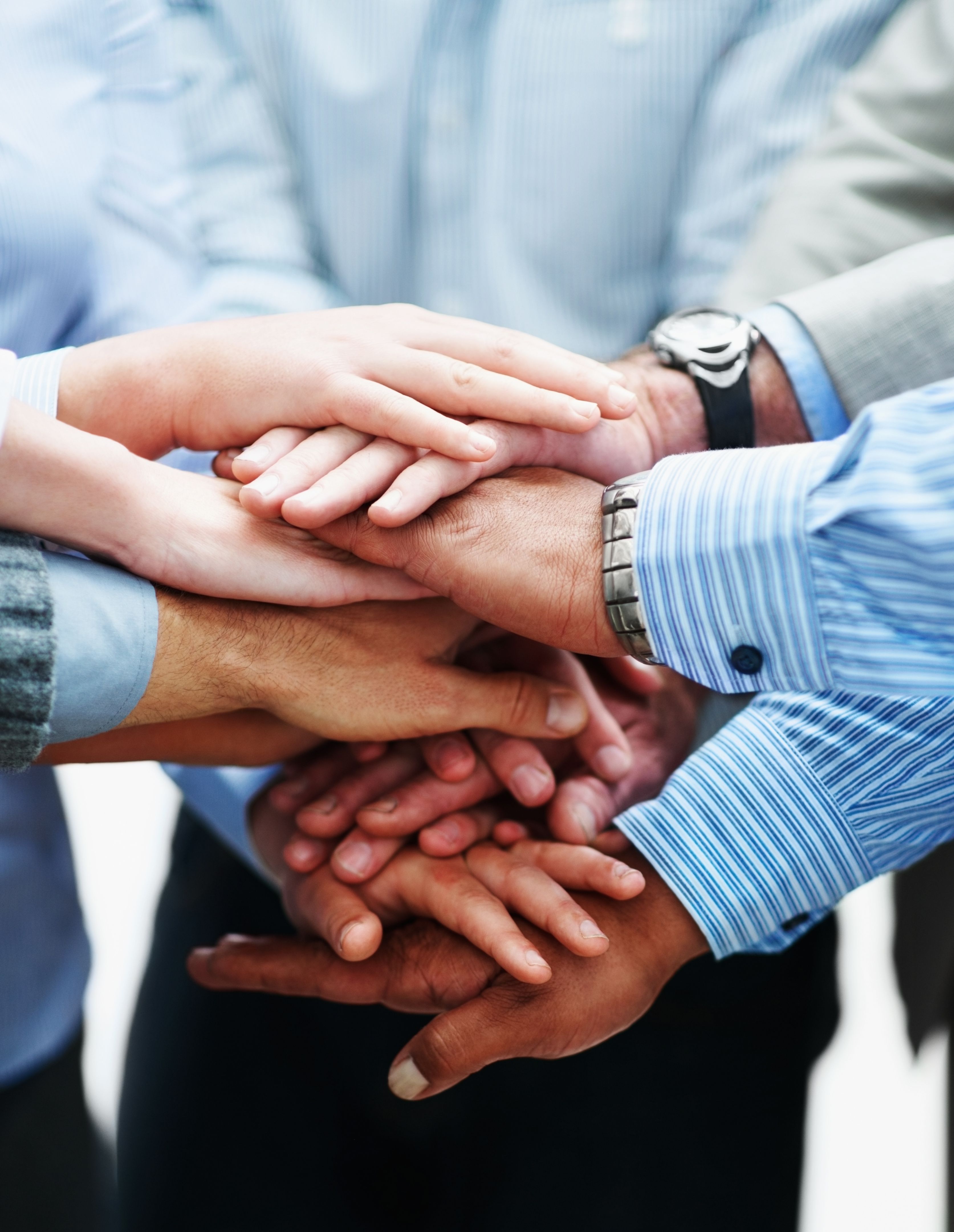 compliance team