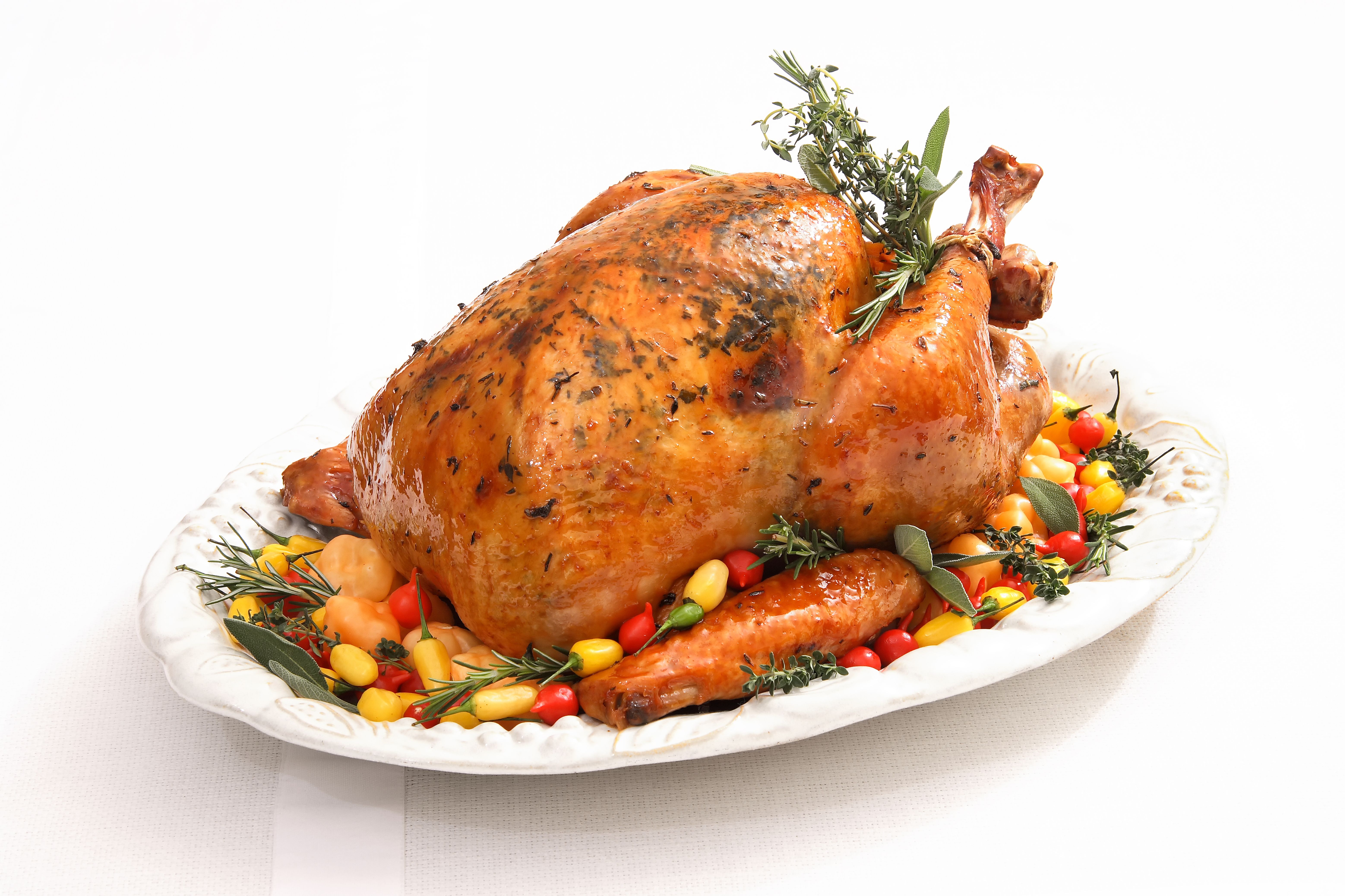 roasted turkey