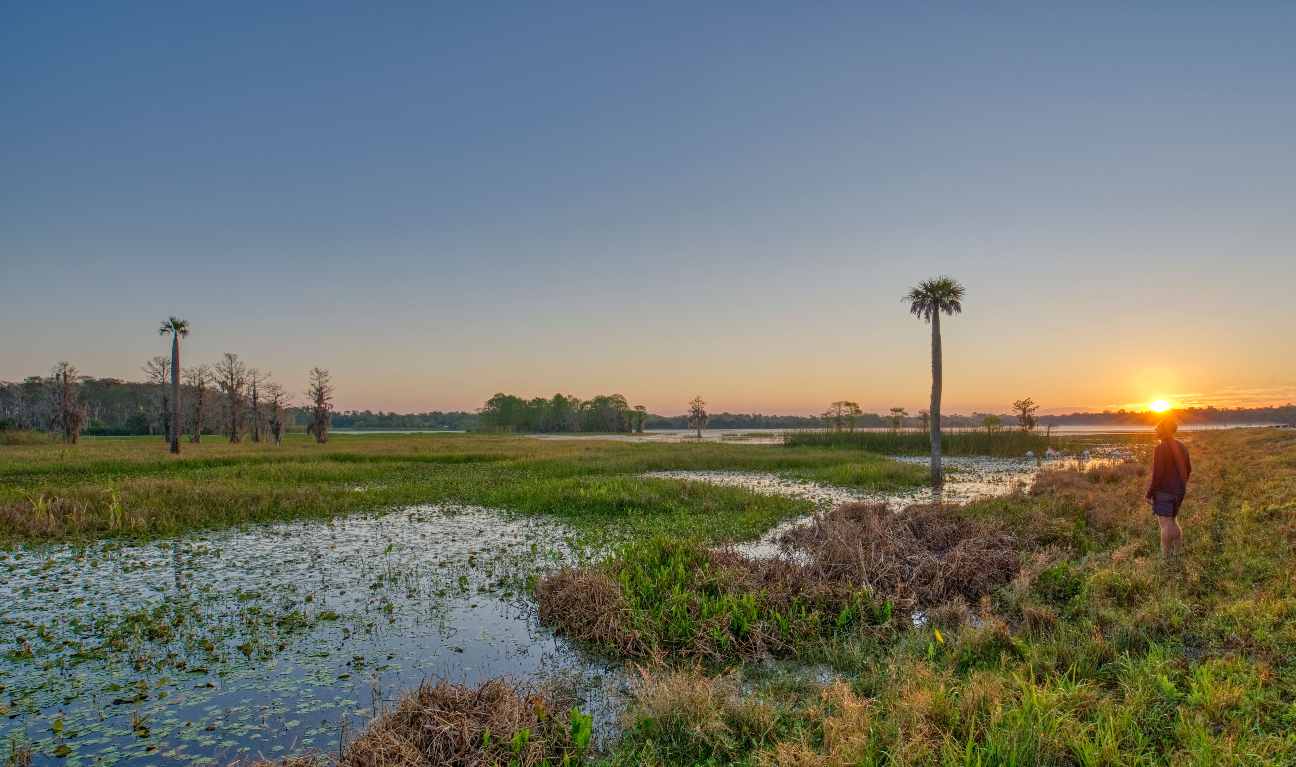 orlando outdoor activities