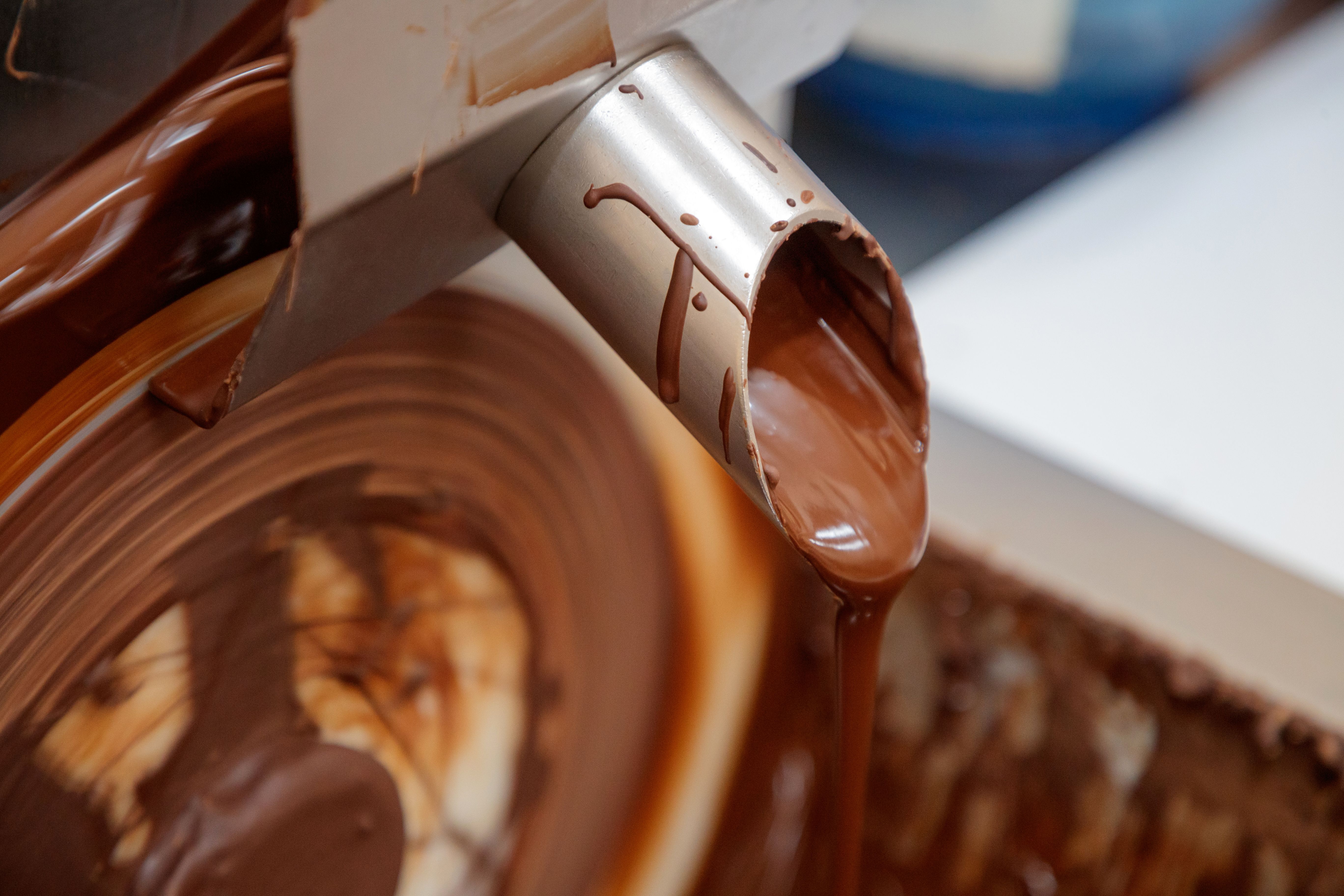 cocoa processing