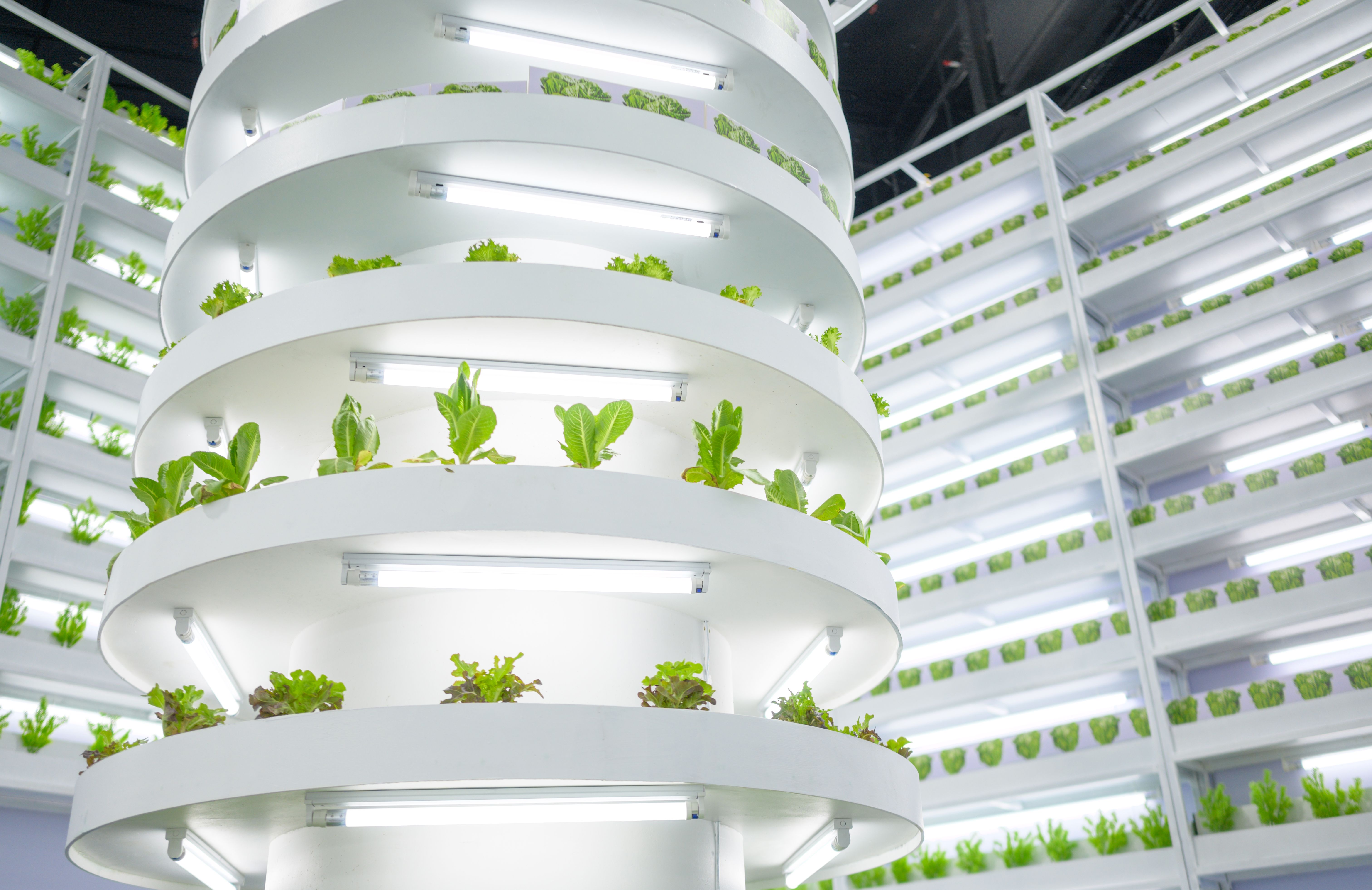 global agriculture