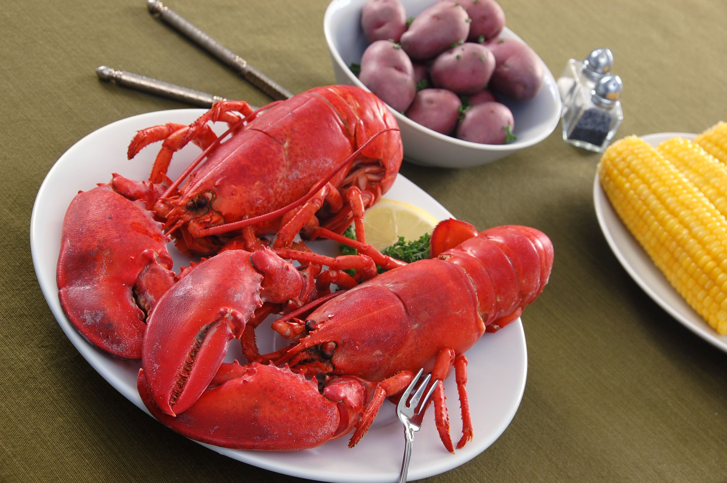 seafood pairing