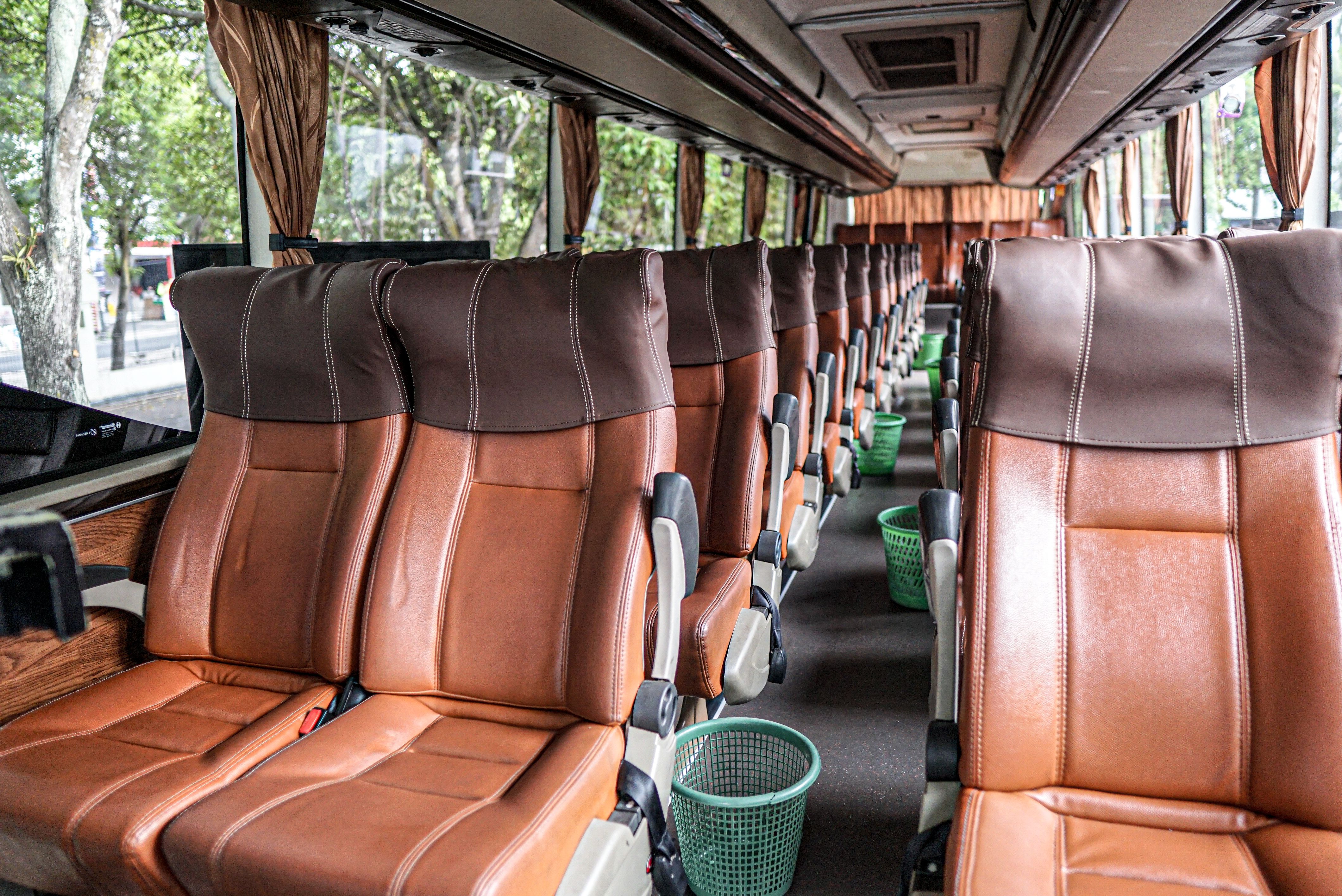 luxury bus