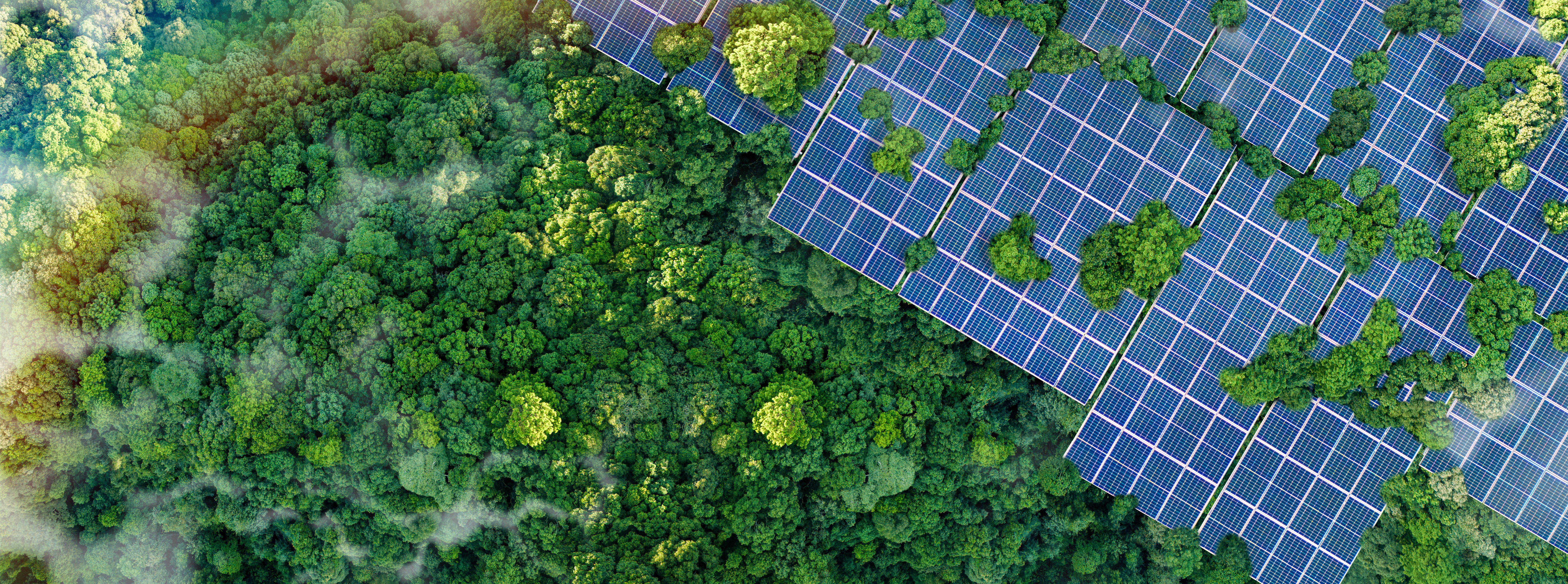 nature business