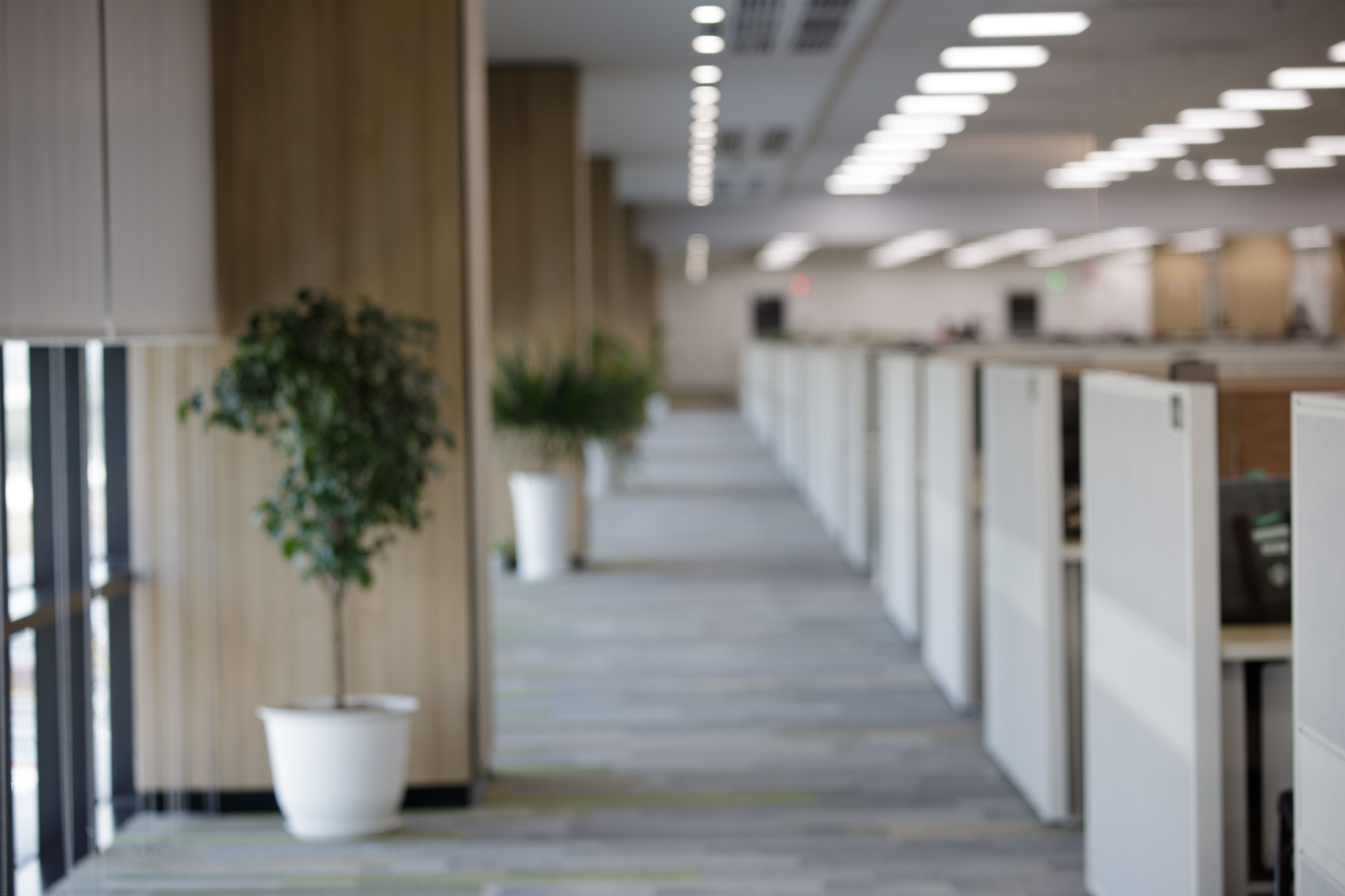 office background check