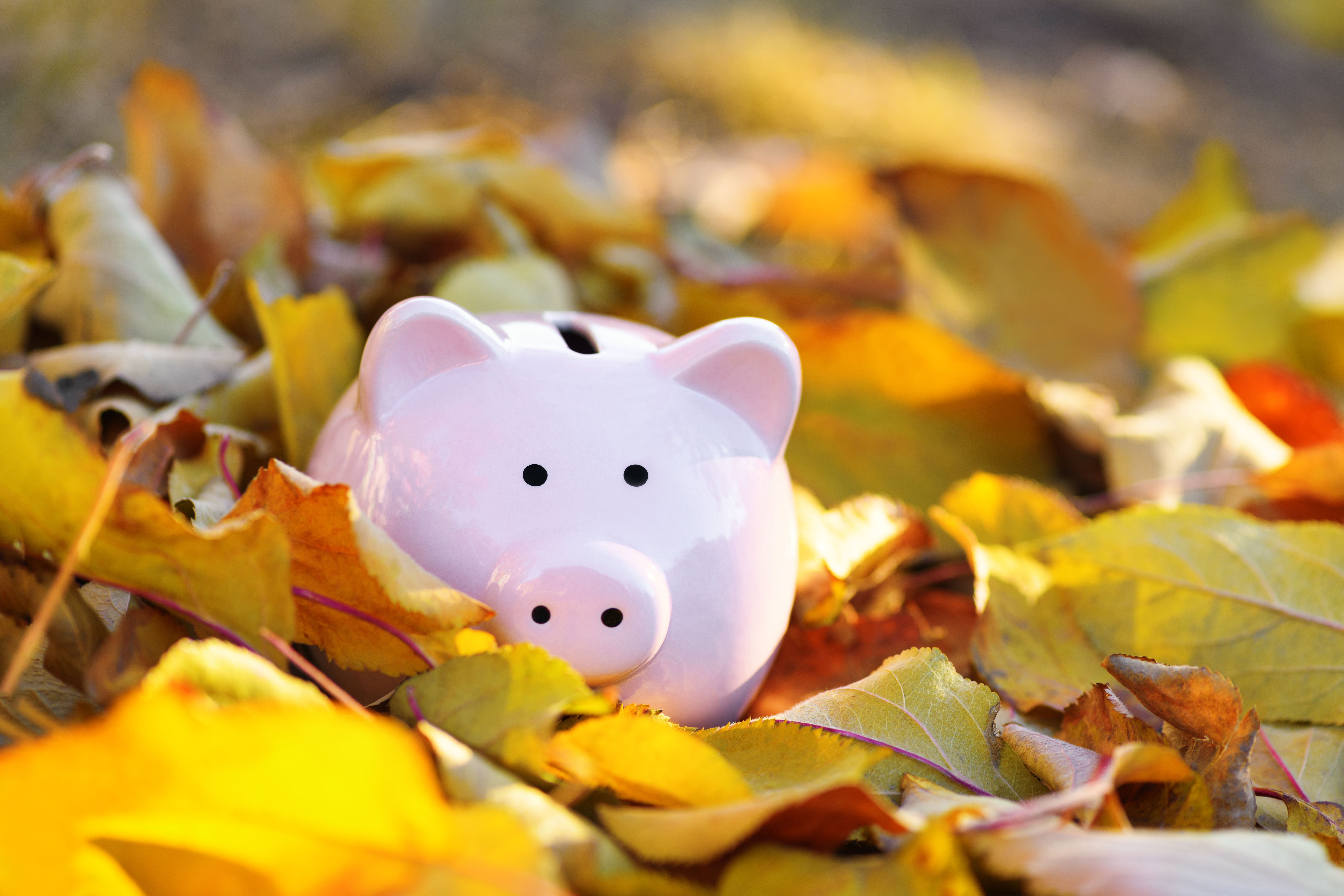 autumn finances