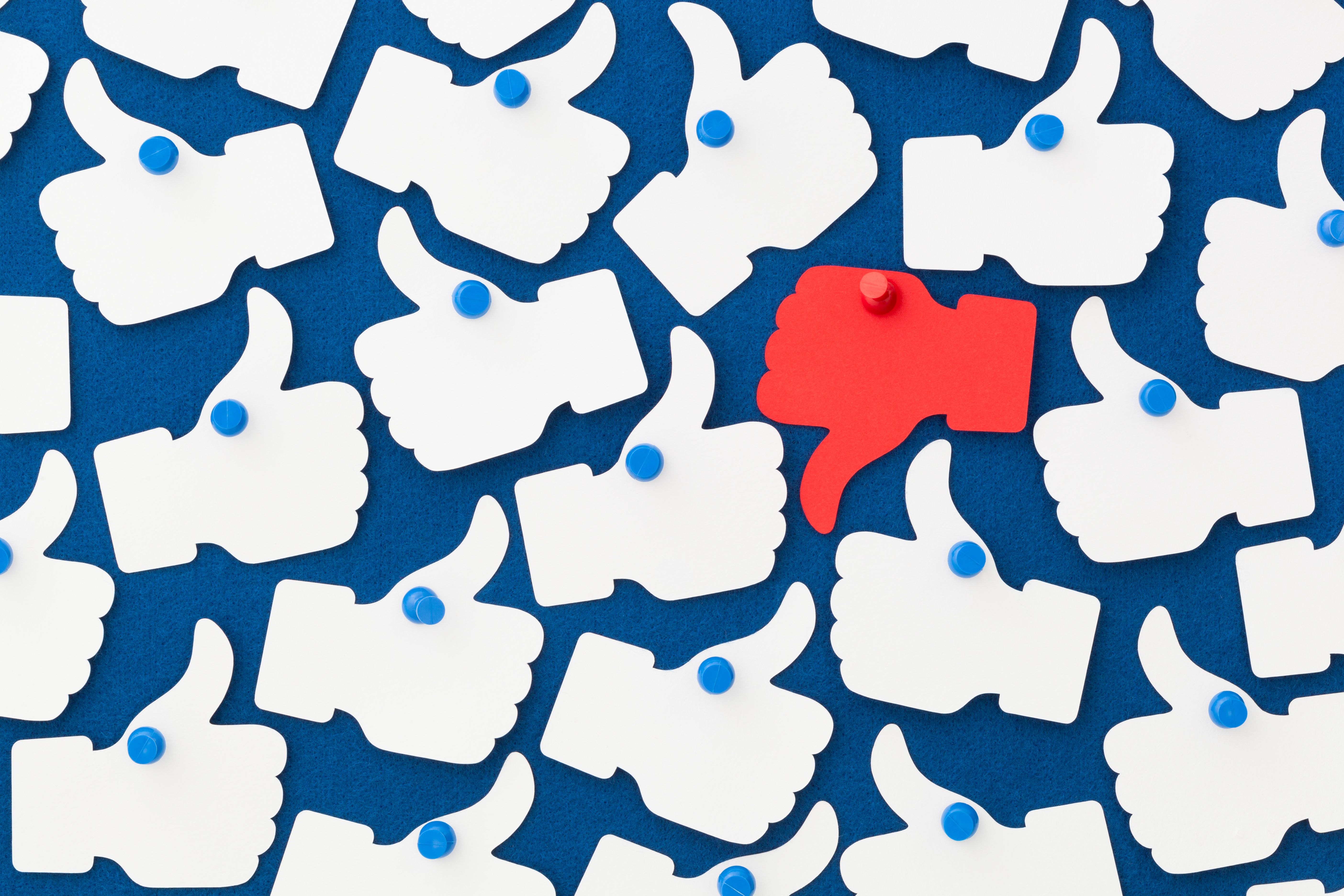 social media politics