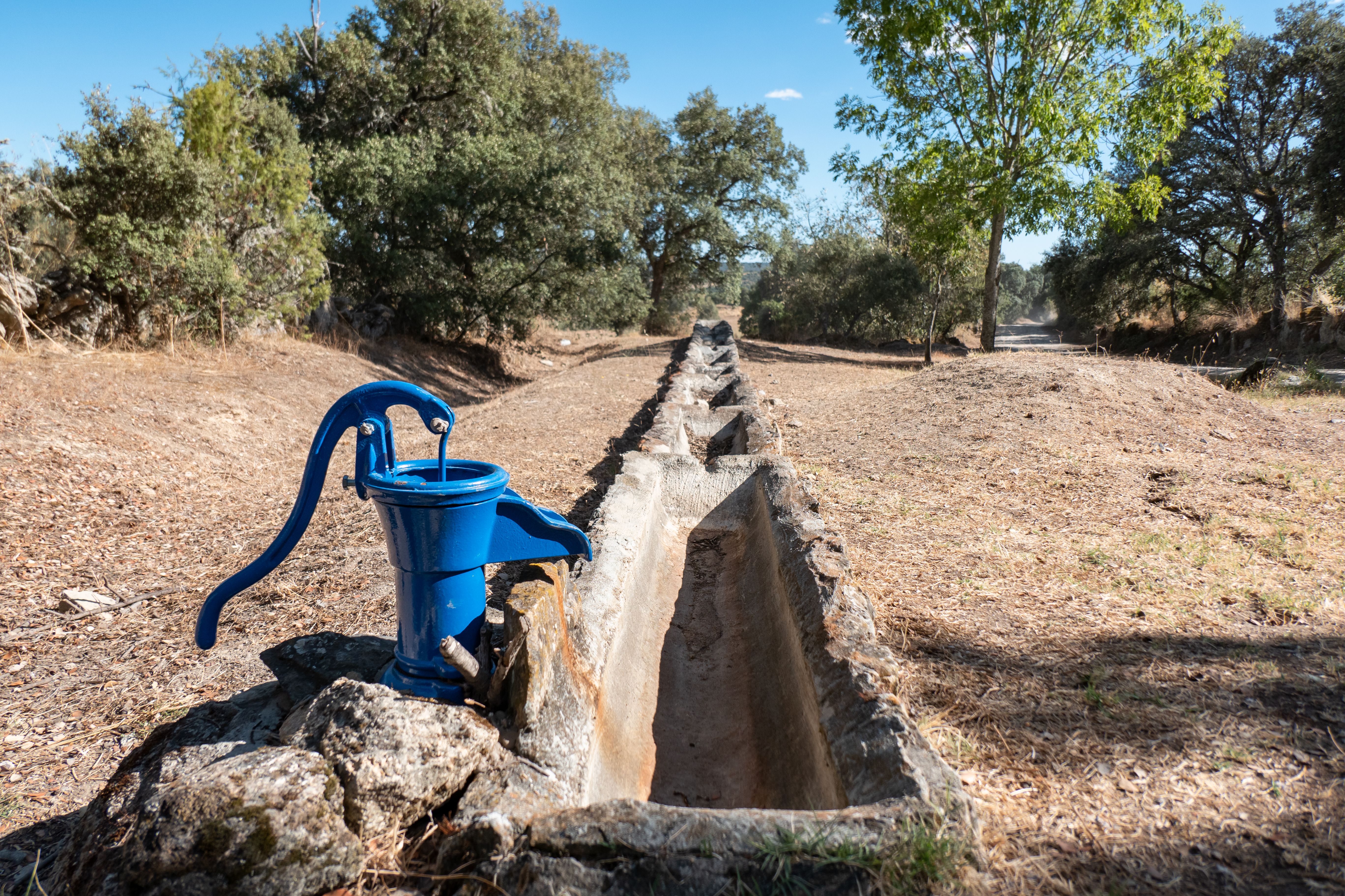 cattle farm management