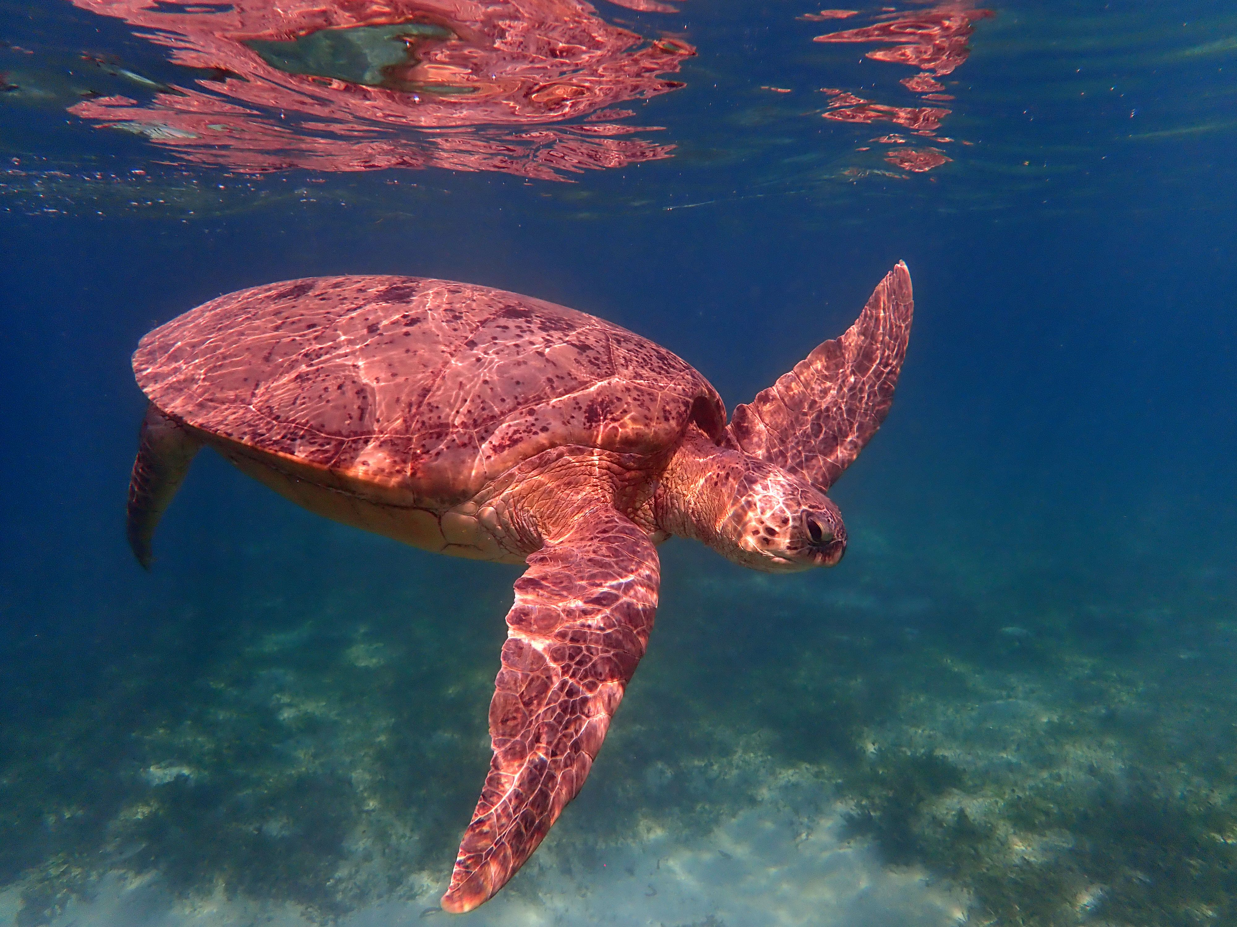 madagascar snorkeling