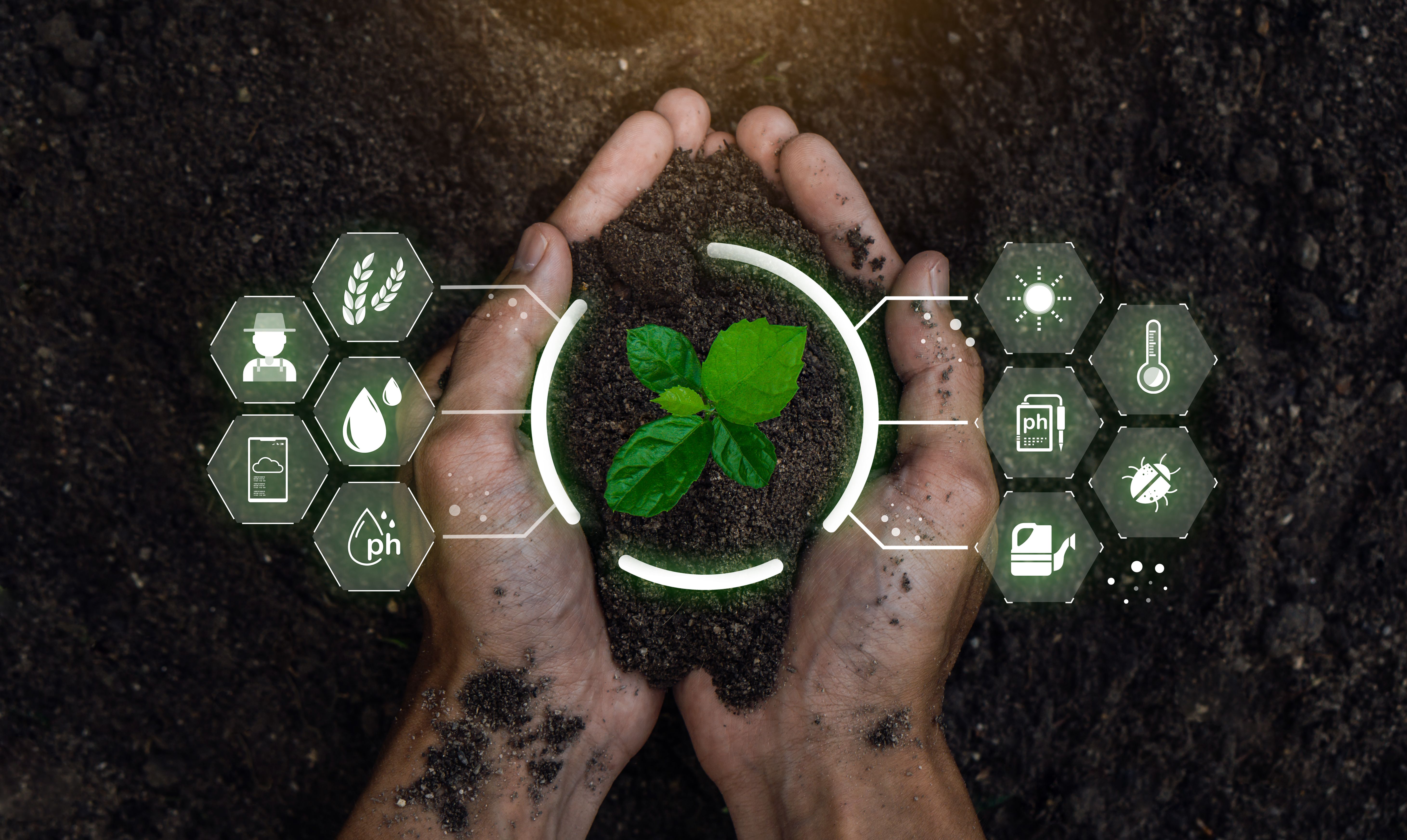 precision agriculture