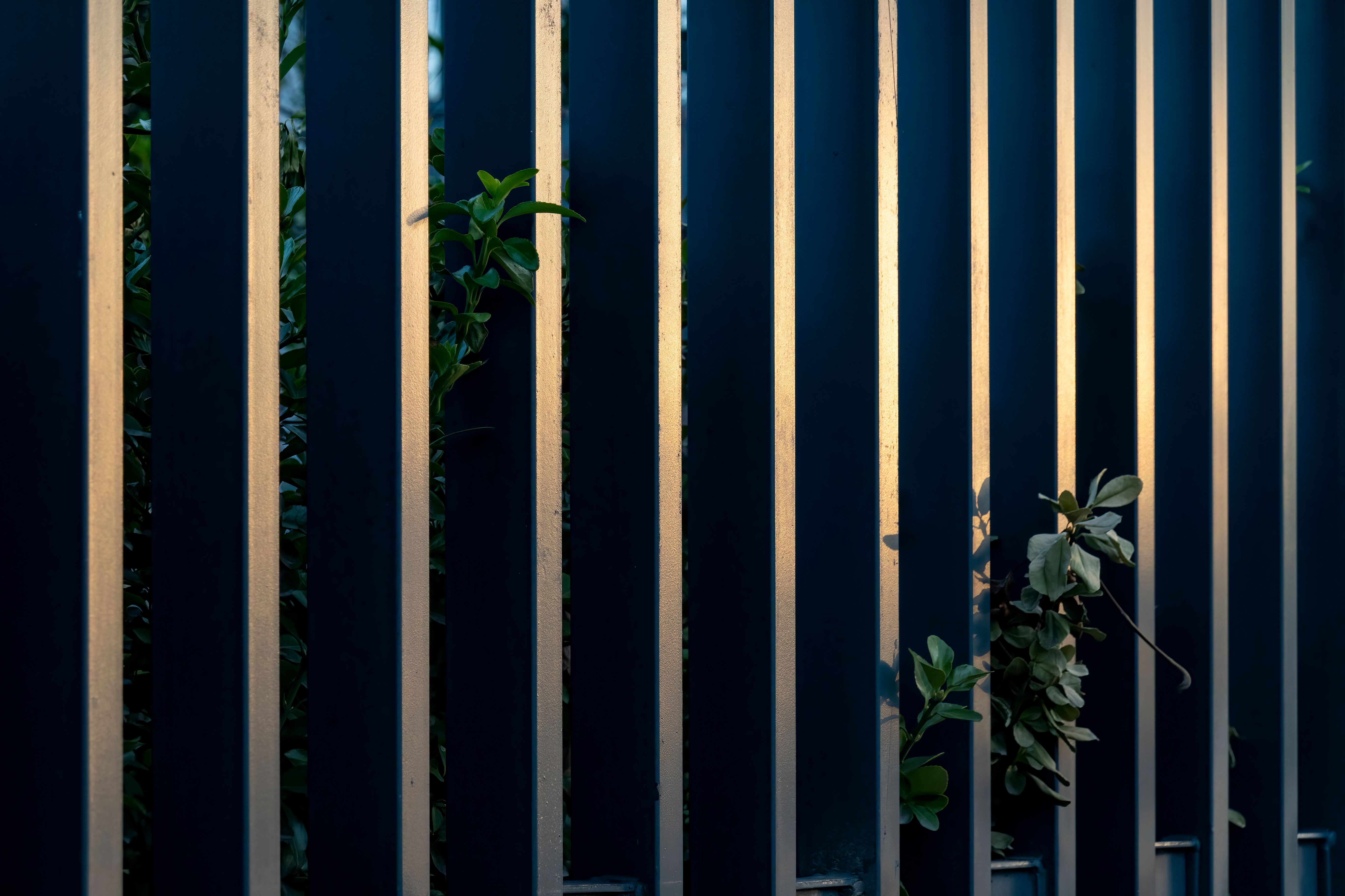 metal fence business