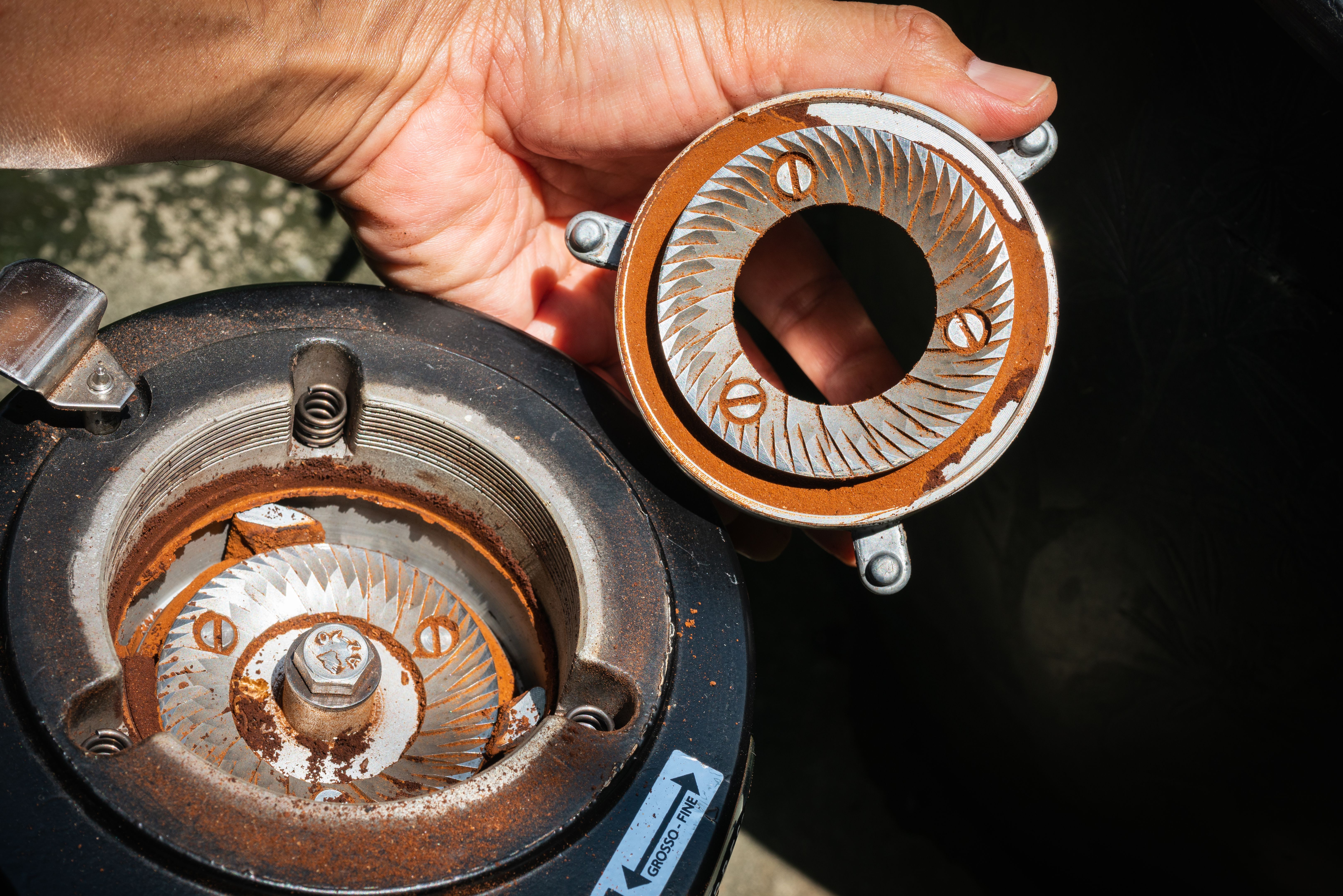 coffee grinder cleaning
