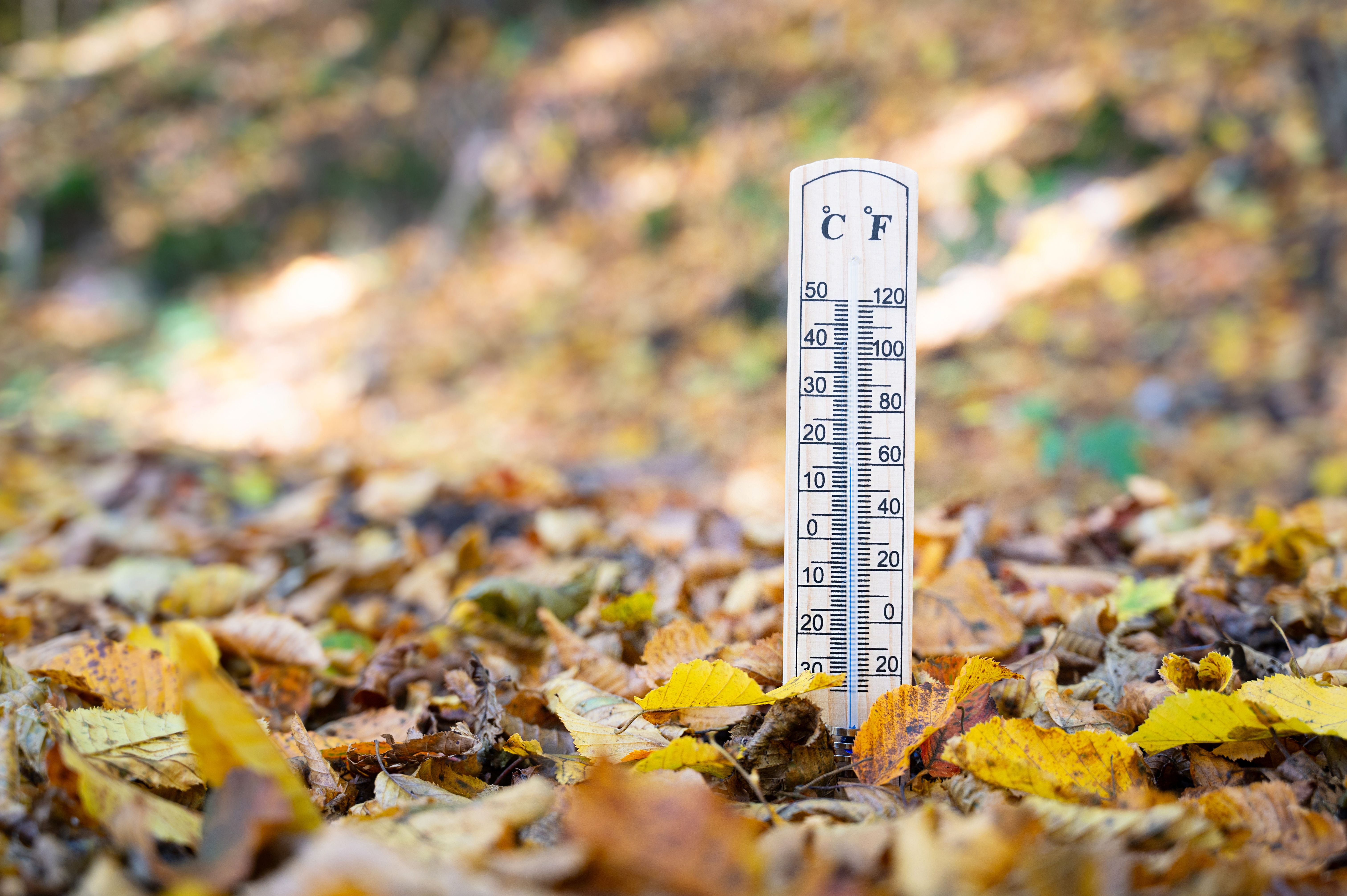 fall weather