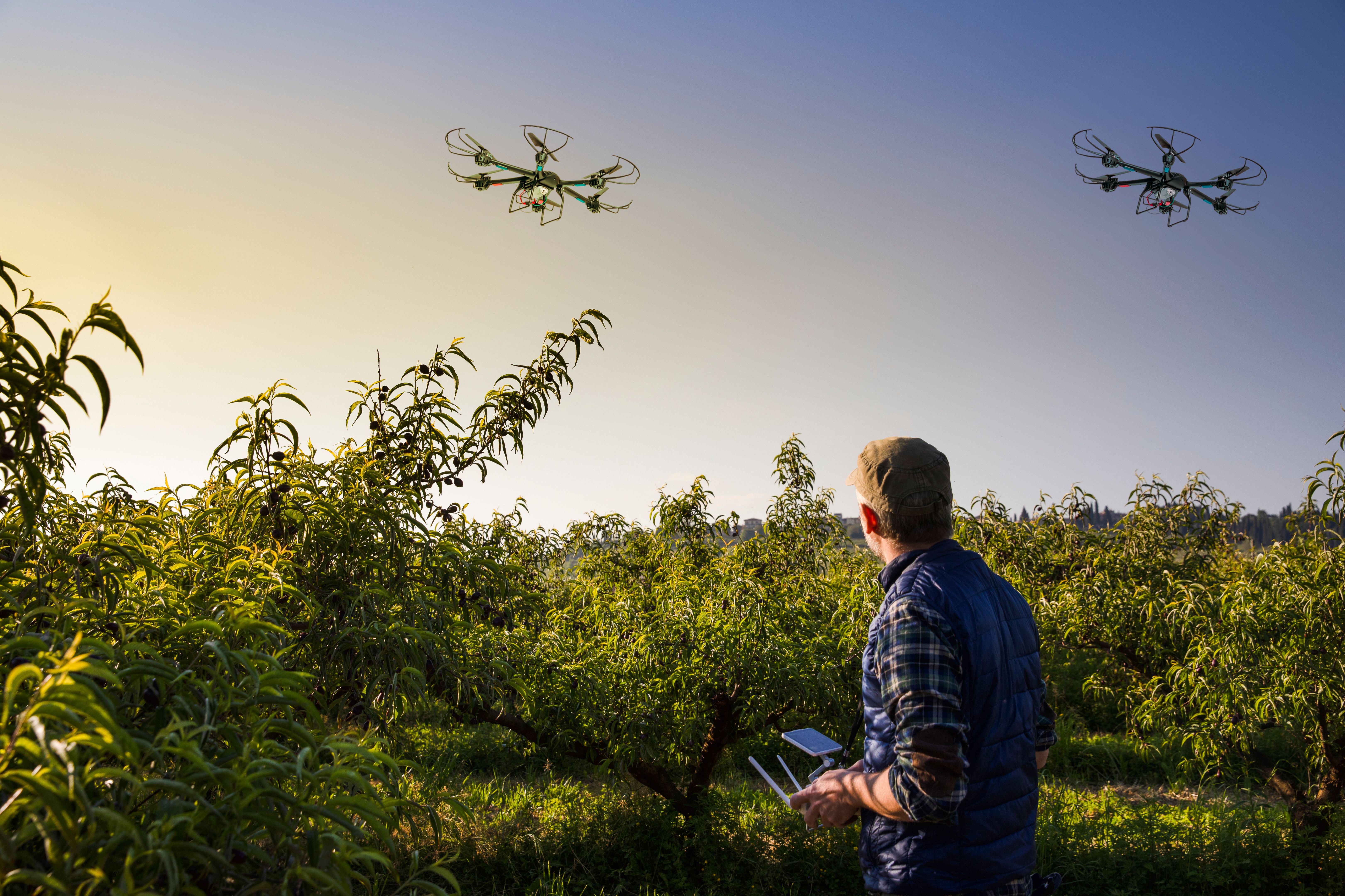 drone surveying agriculture