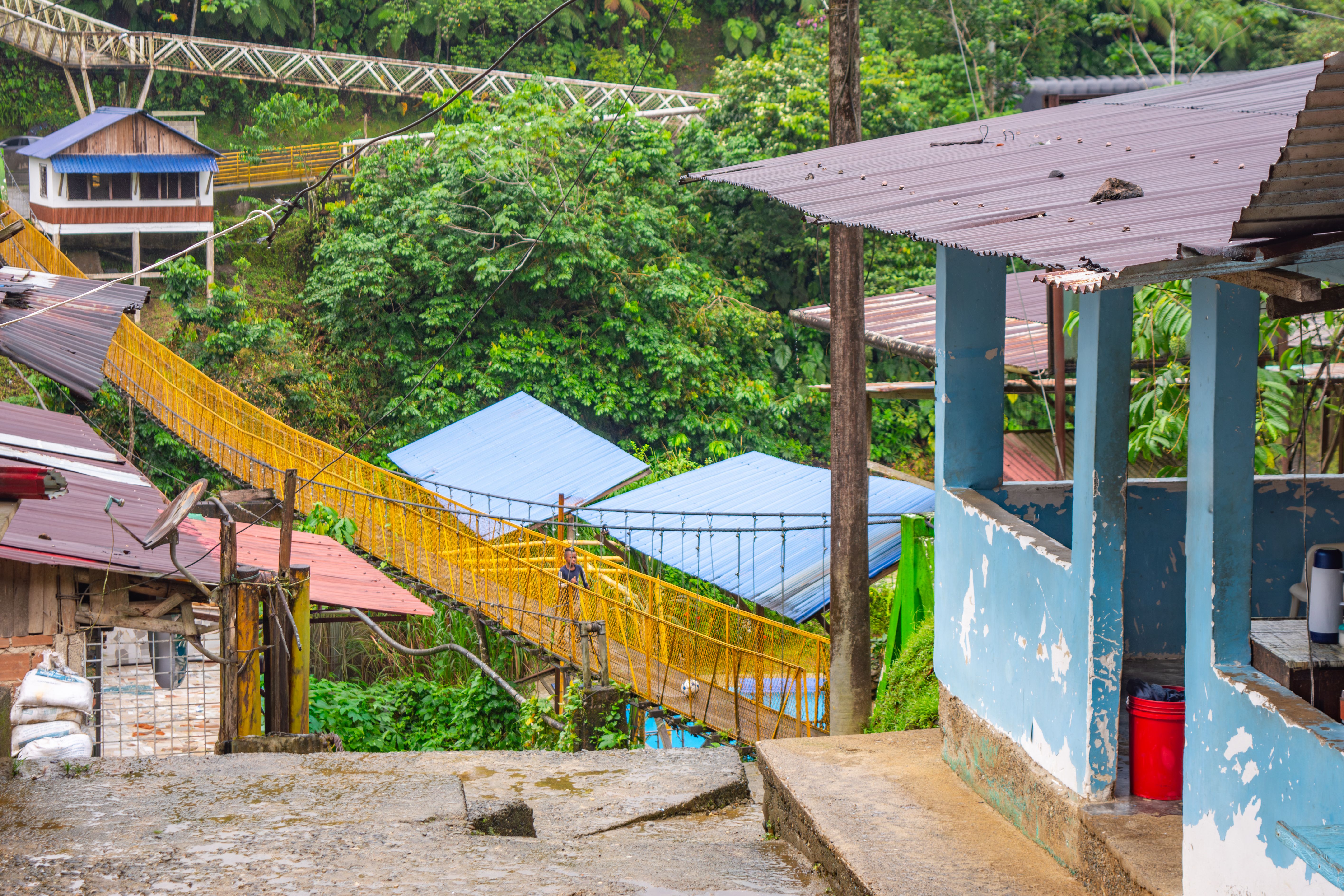 nature experience colombia
