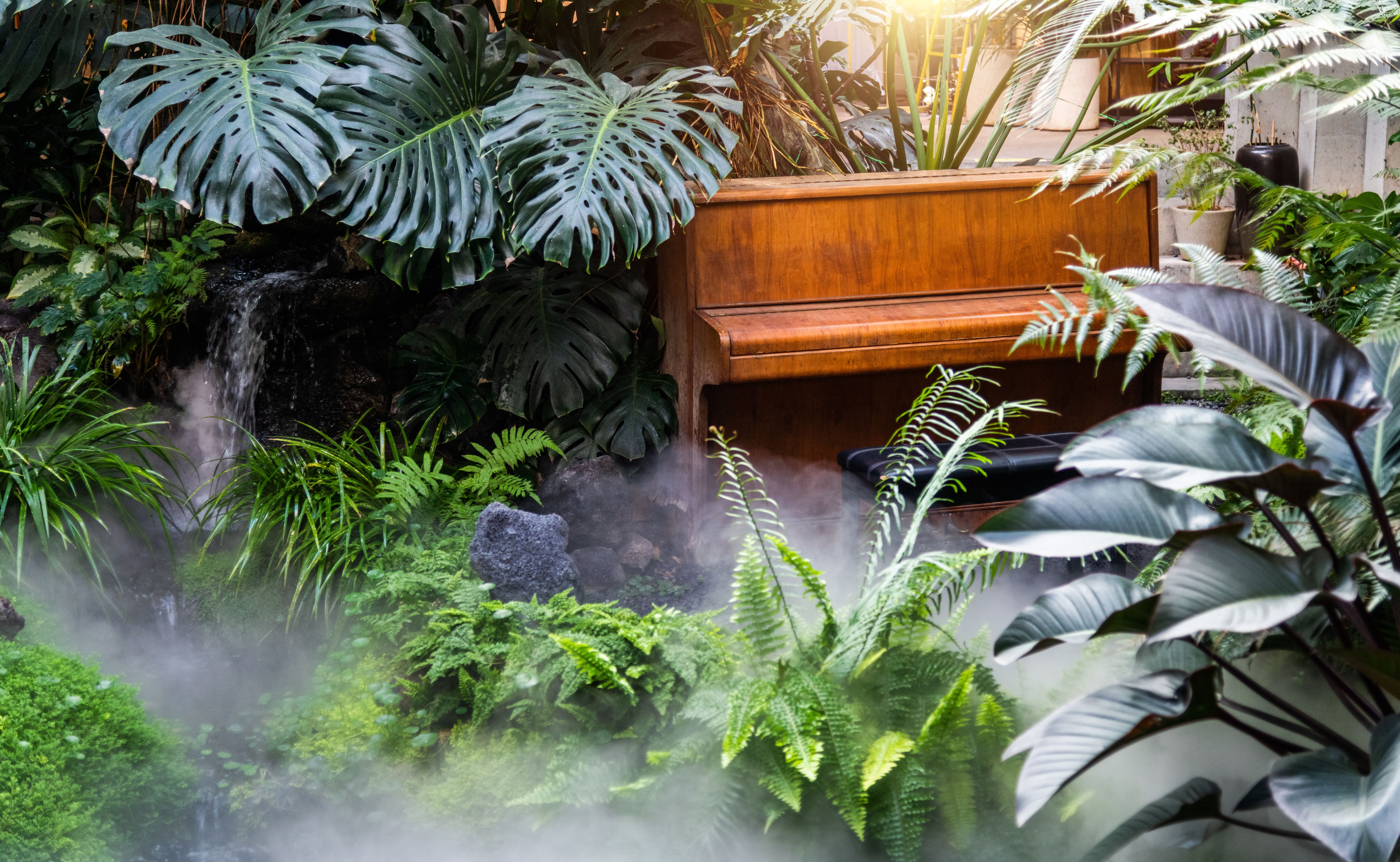 Wooden retro piano in a green field