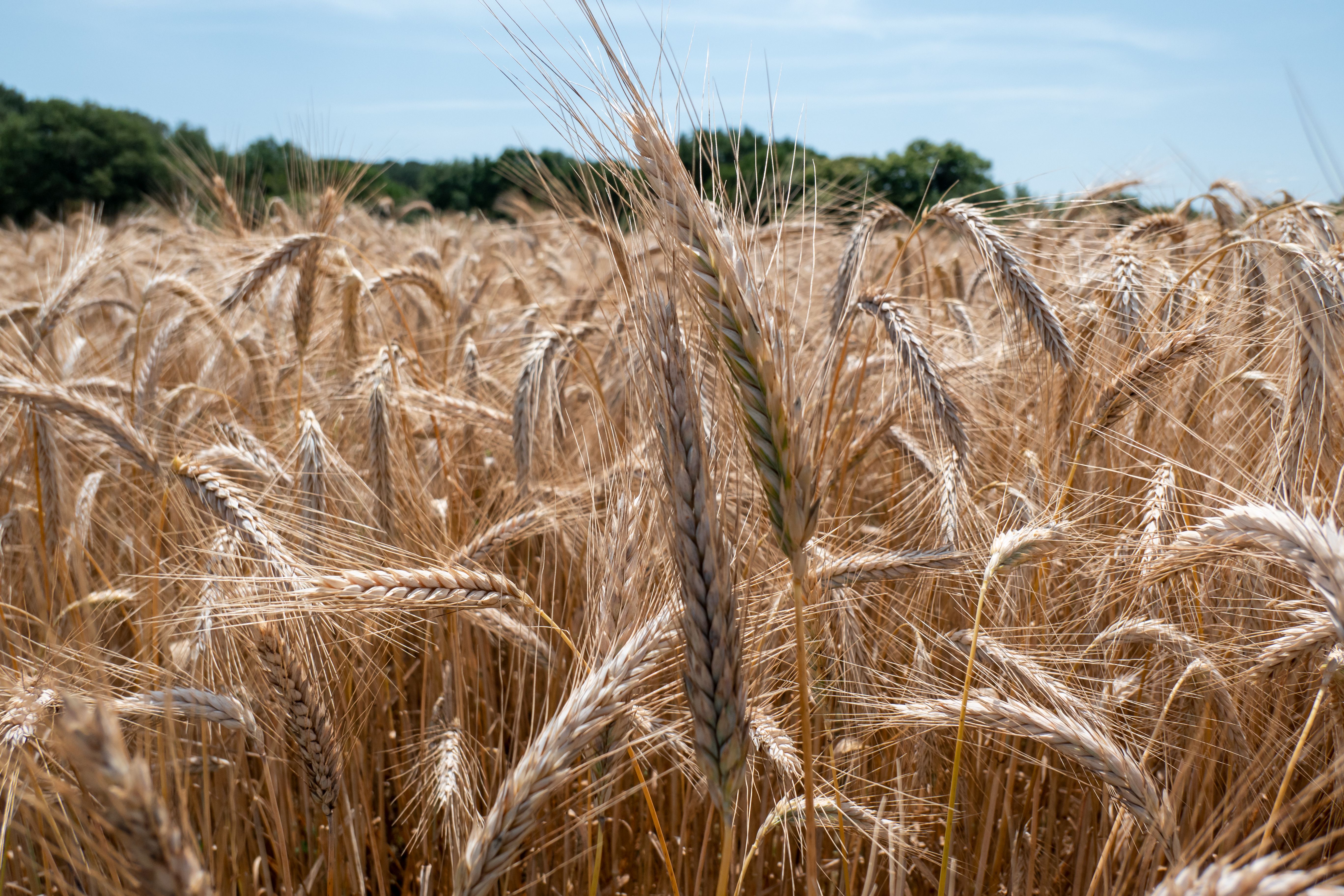 sustentabilidade energia