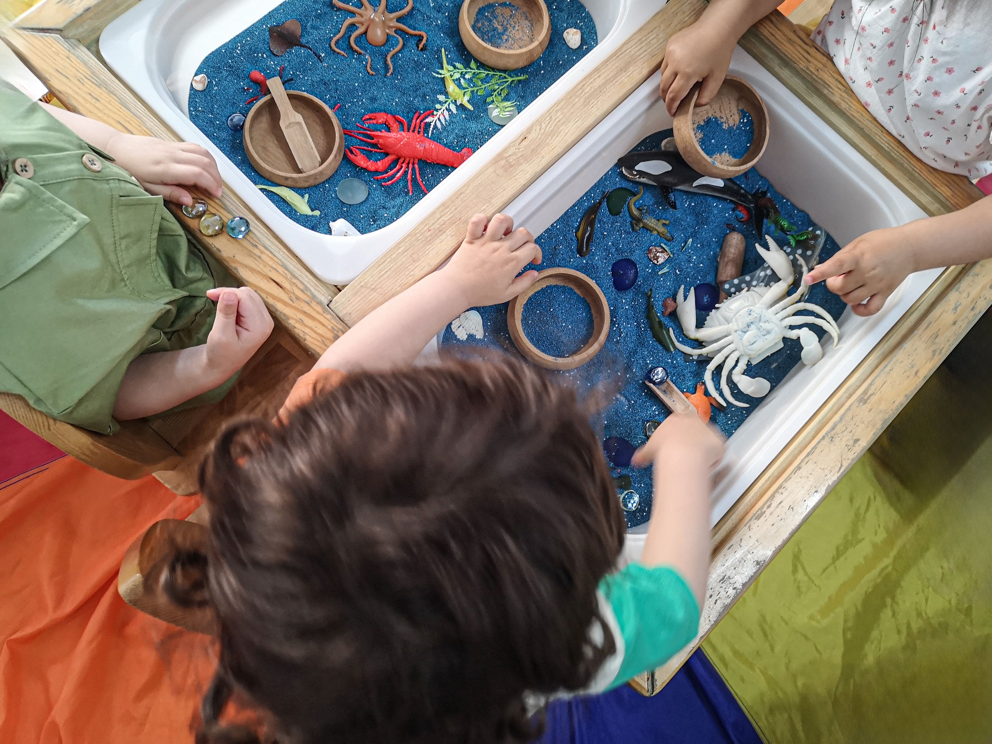 sensory friendly environment