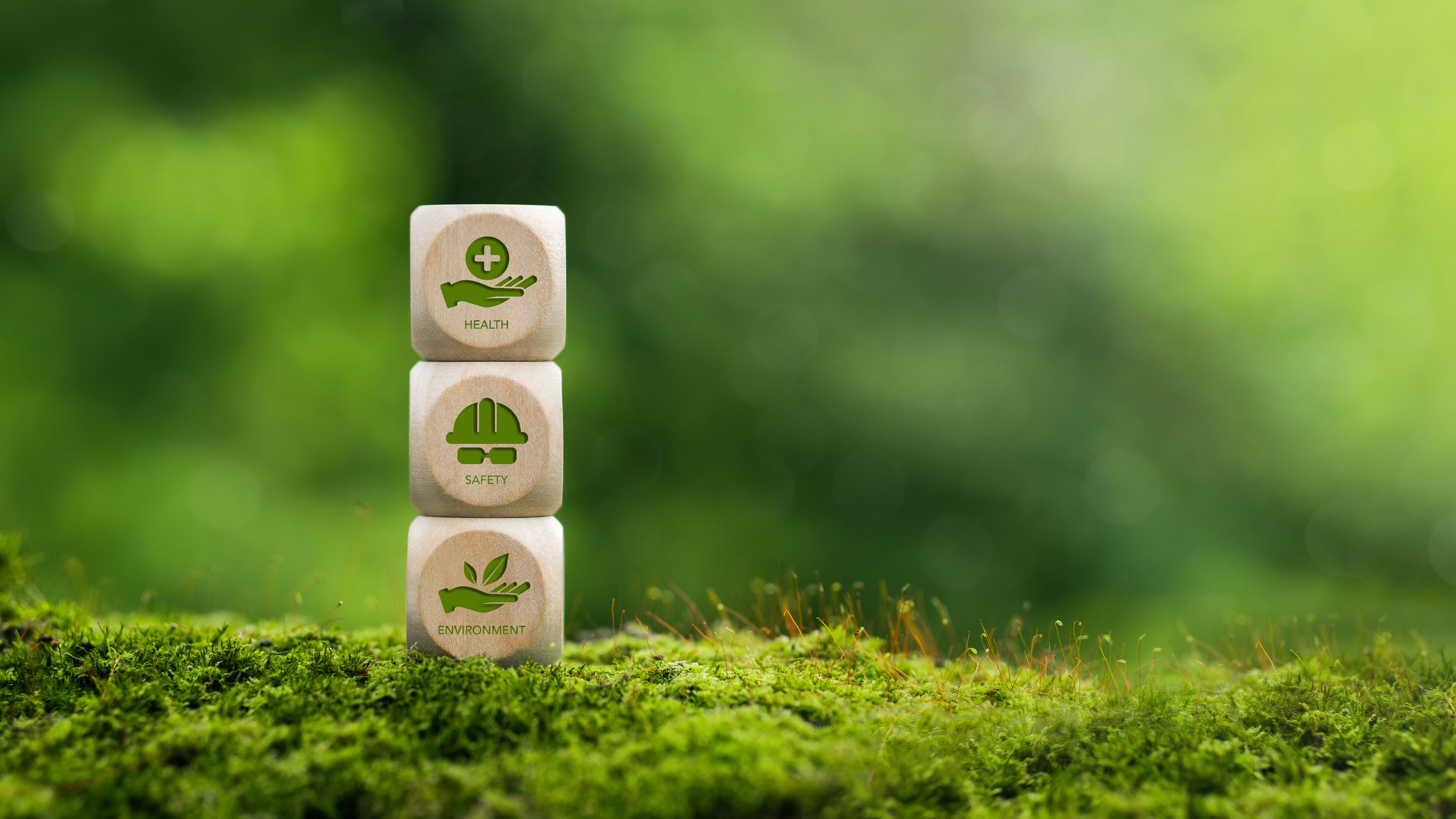 eco-friendly practices