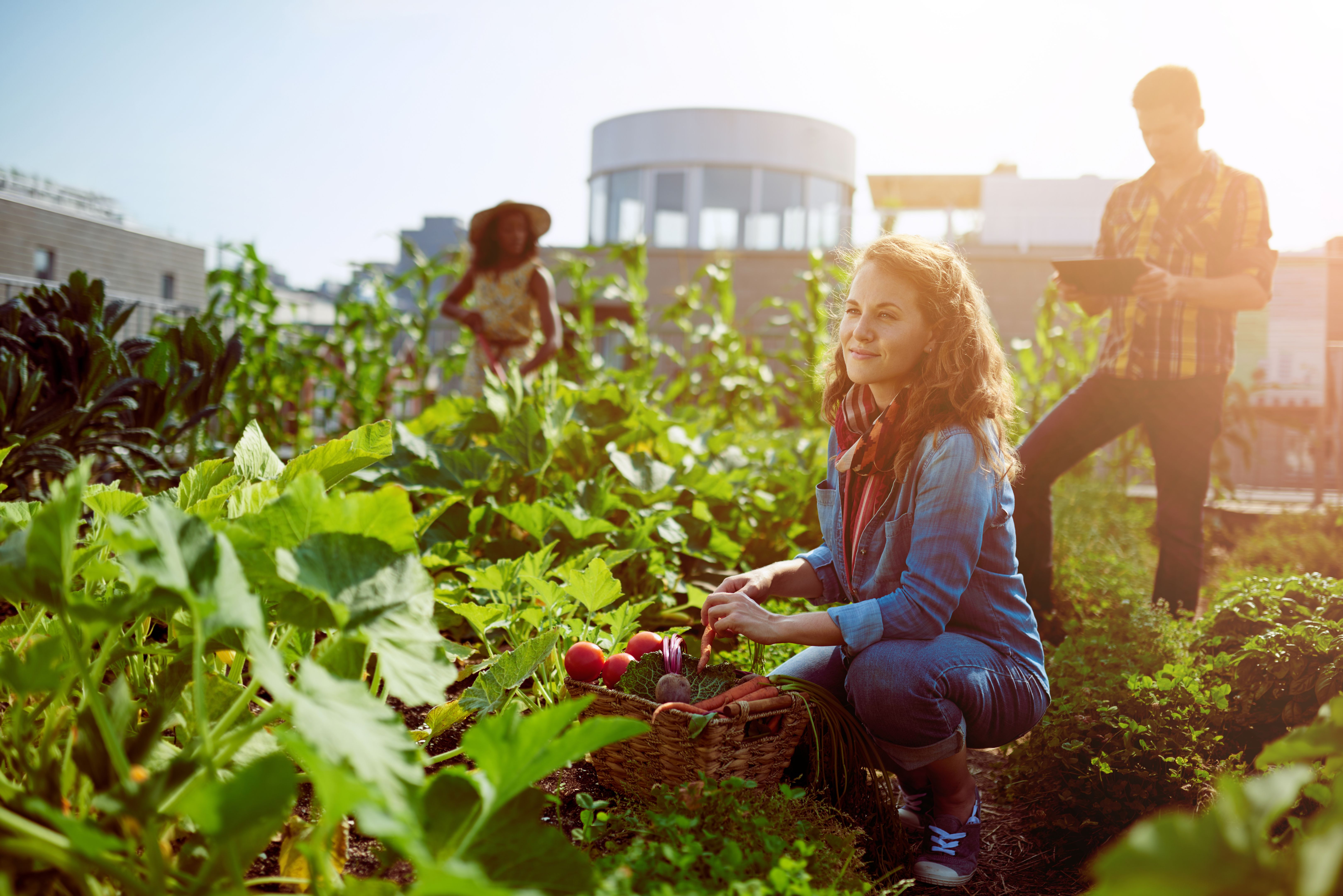 sustainable harvesting