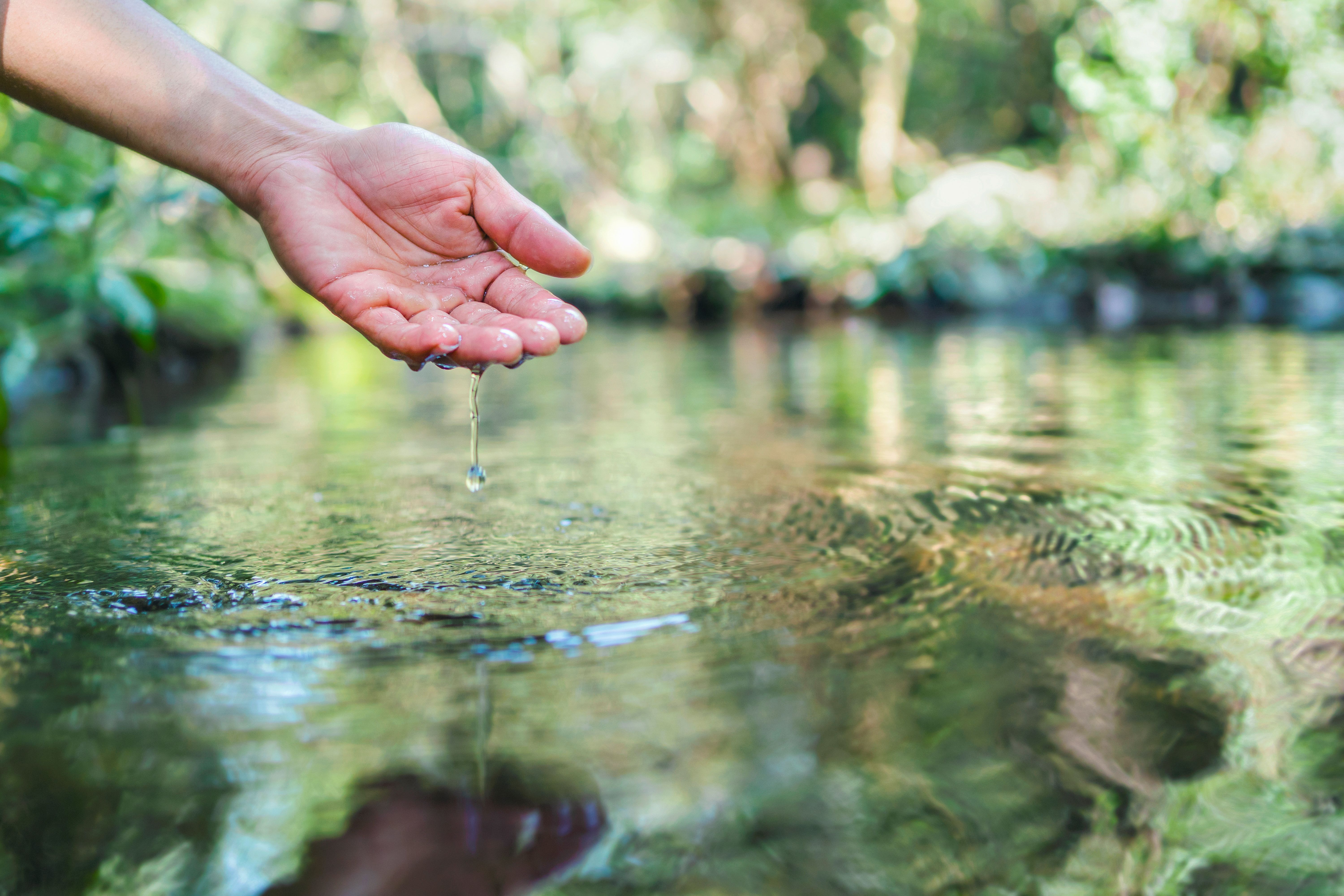 hand touches water in the pond hand touches water in the pond