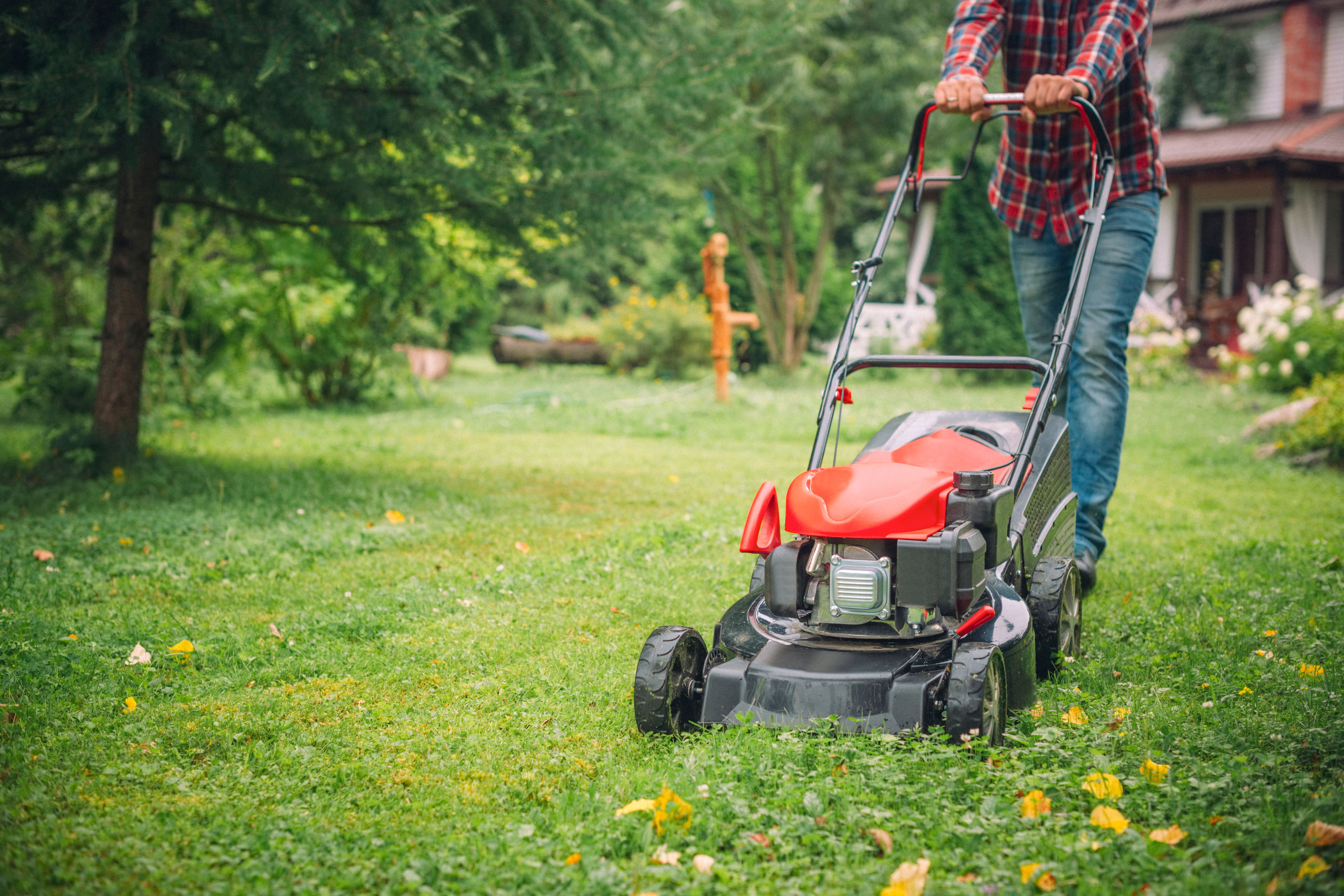 lawn care services