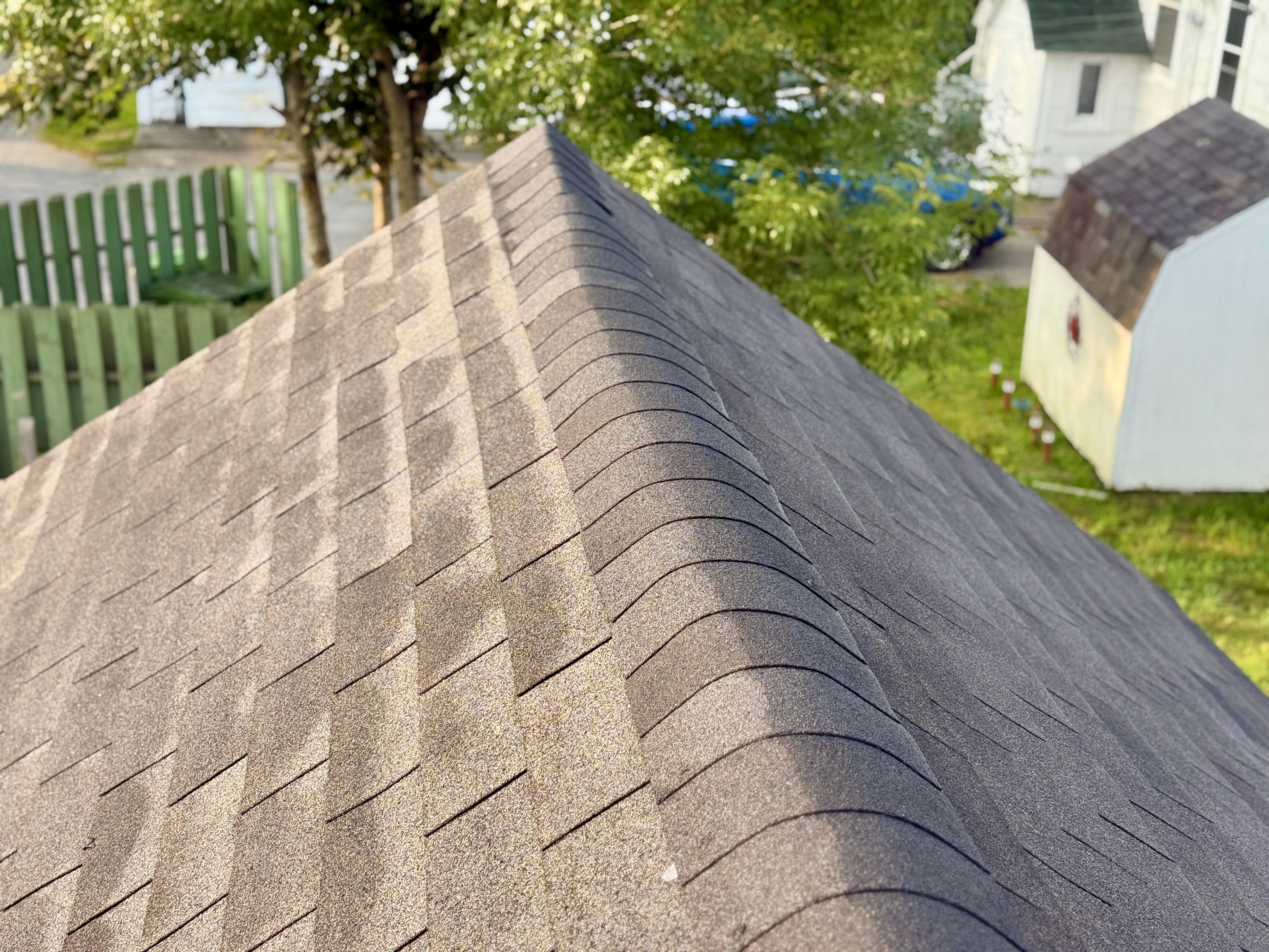 damaged shingles