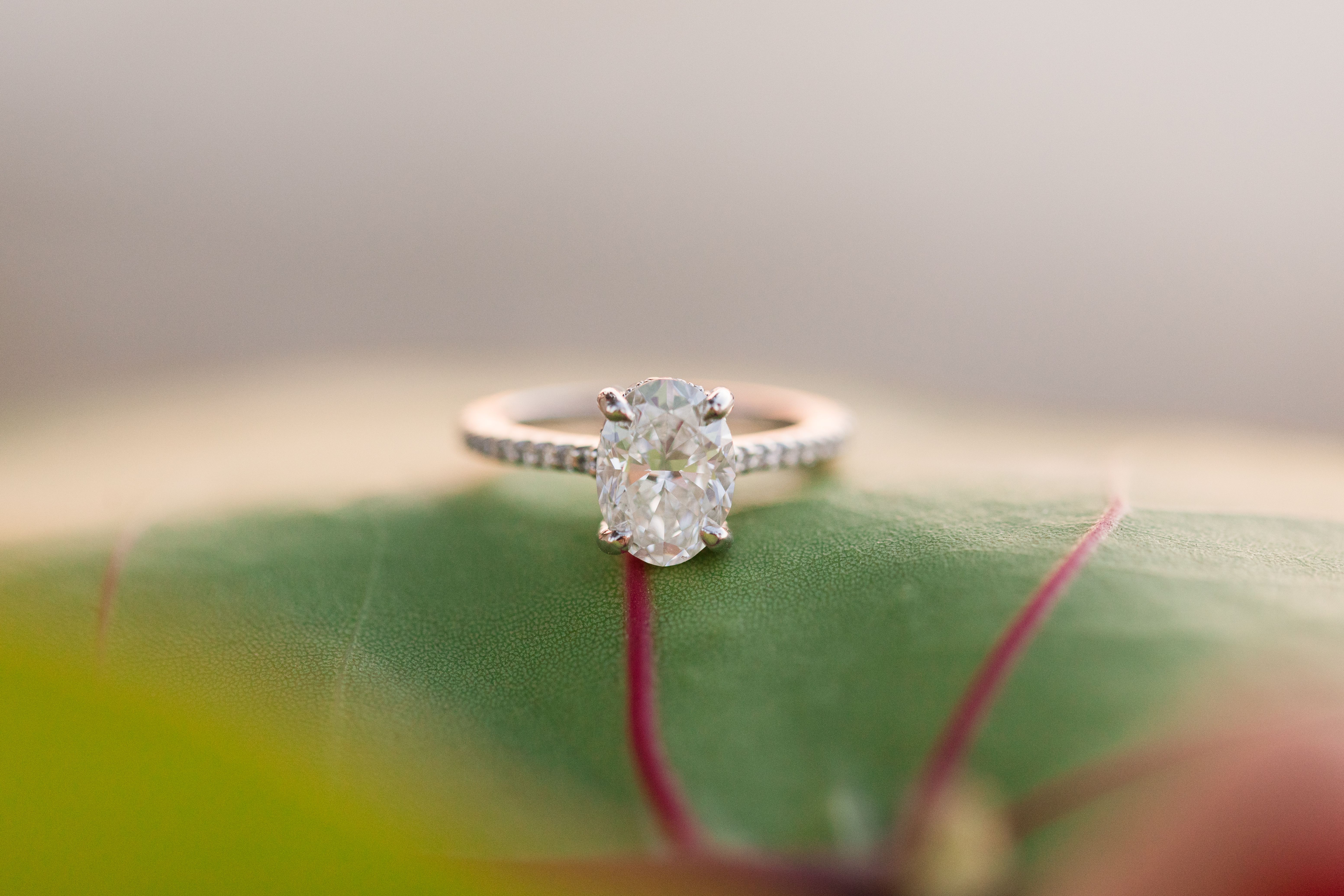 diamond ring close-up