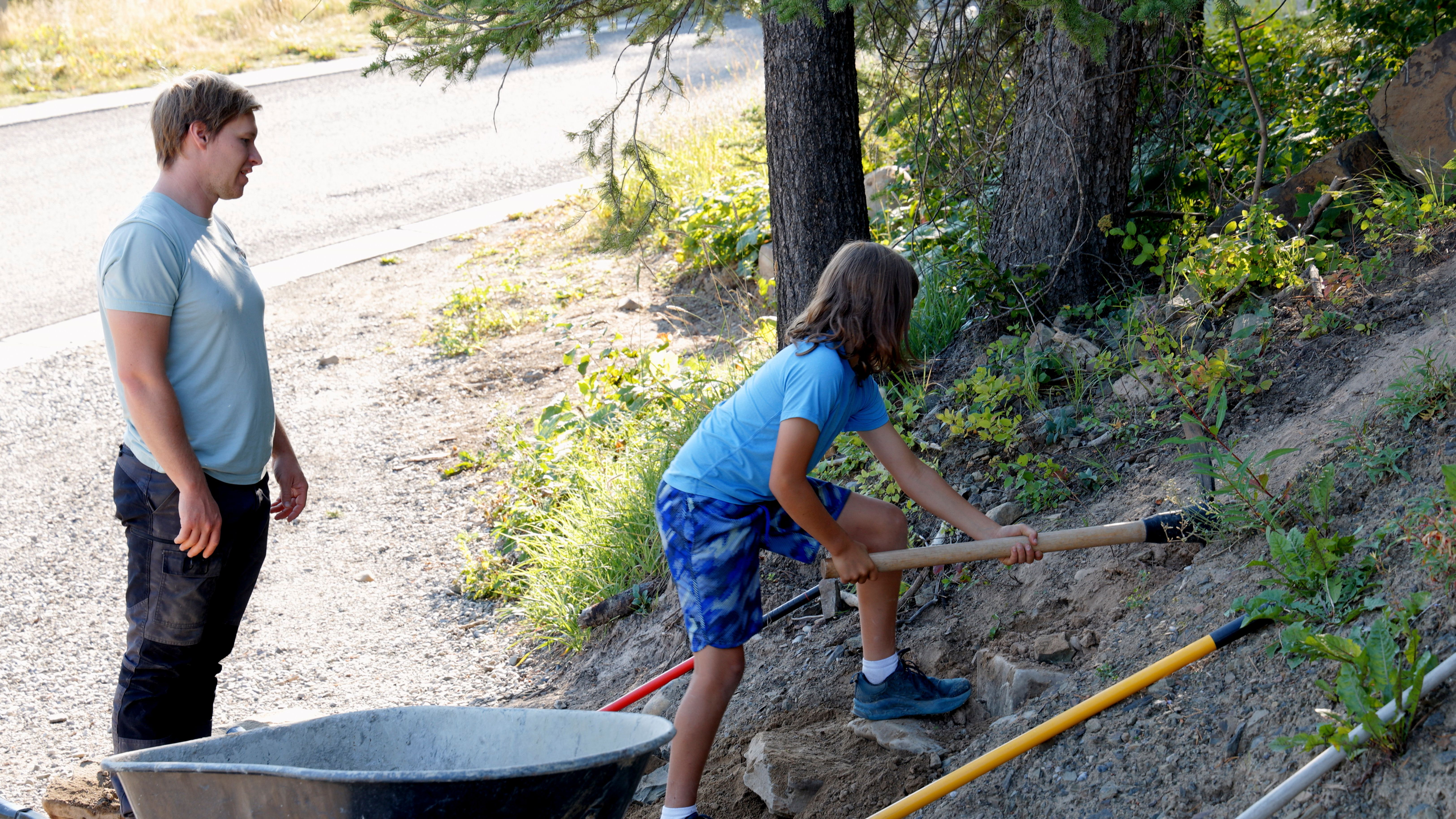 landscaping decision