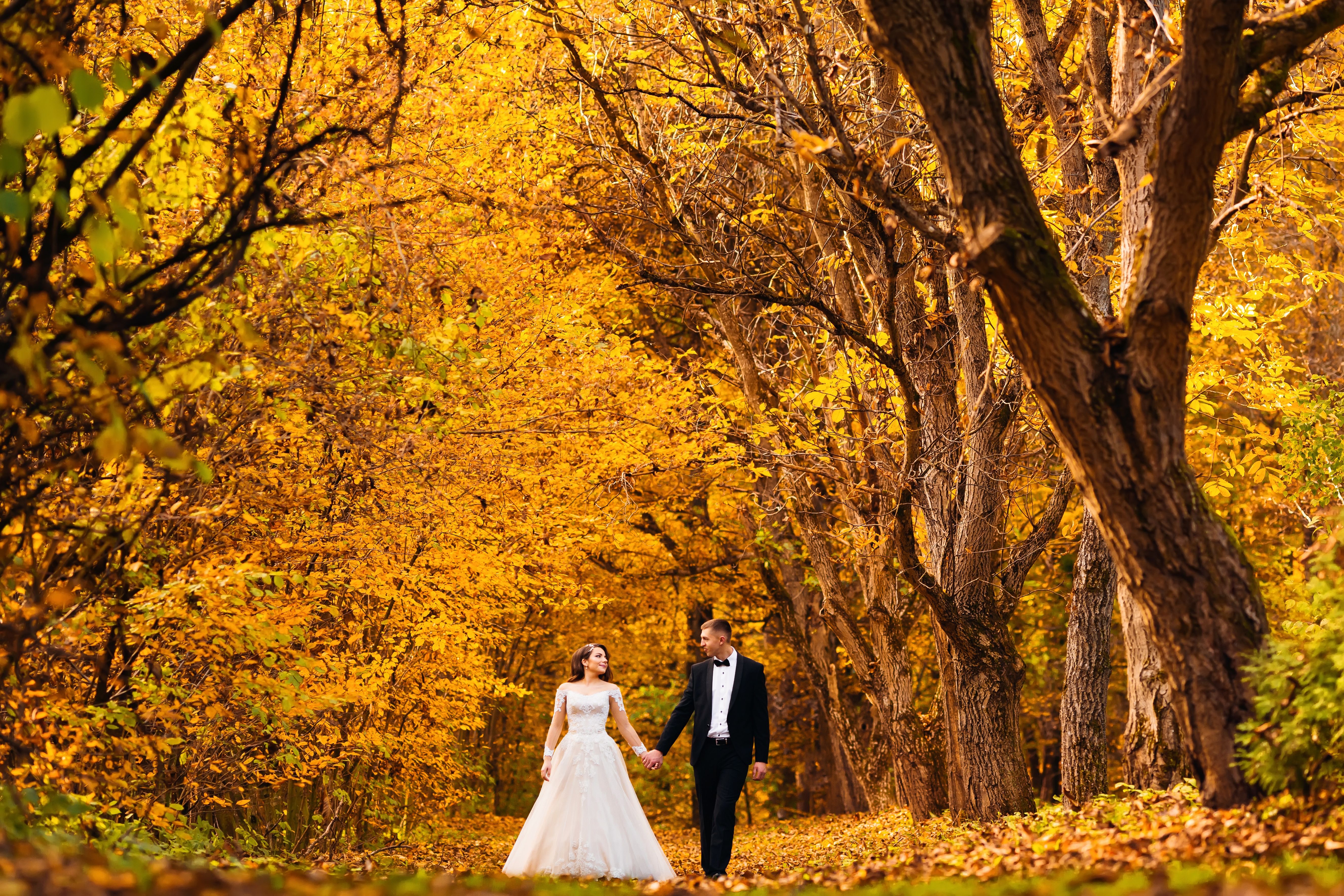autumn wedding photography