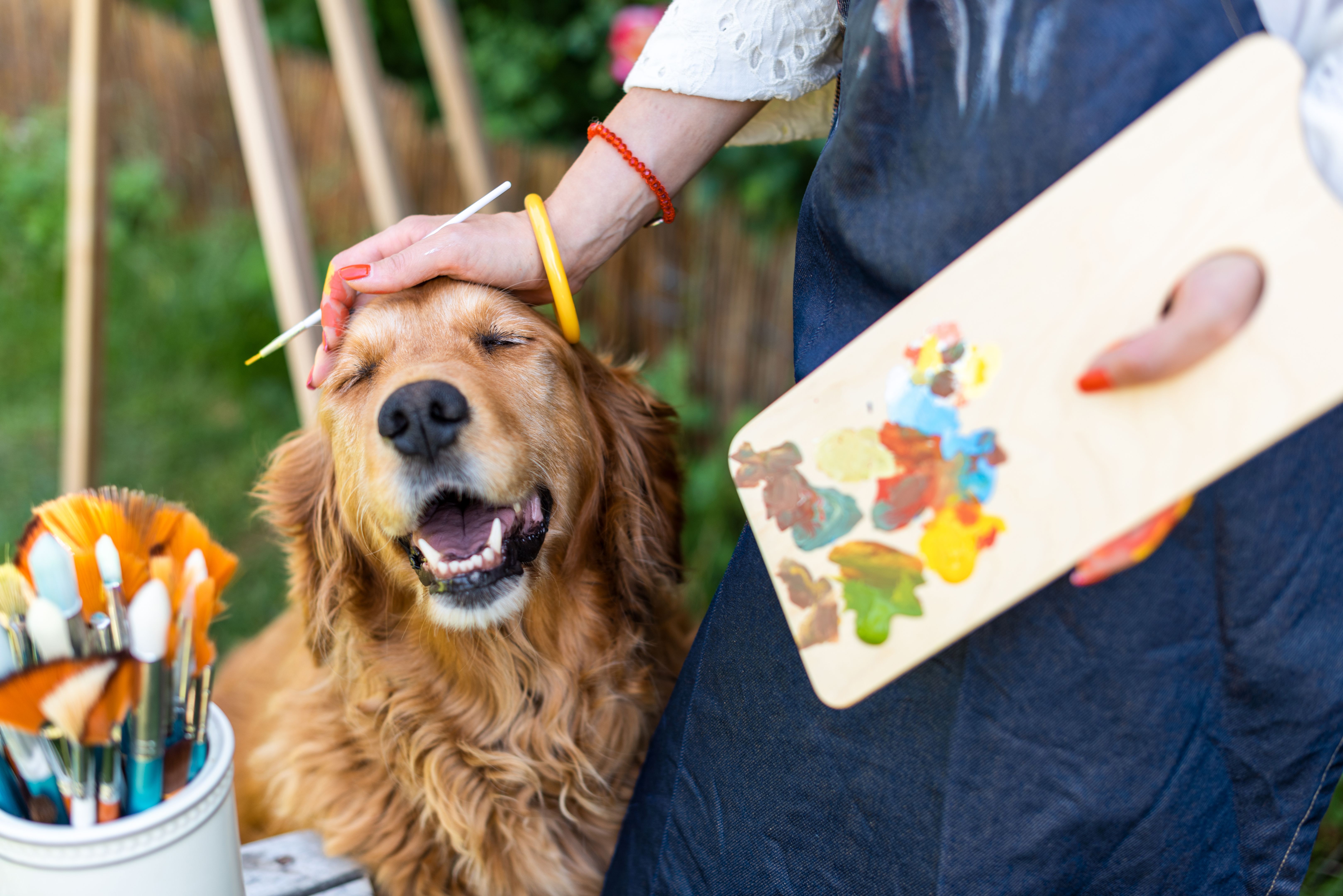 artist painting dog