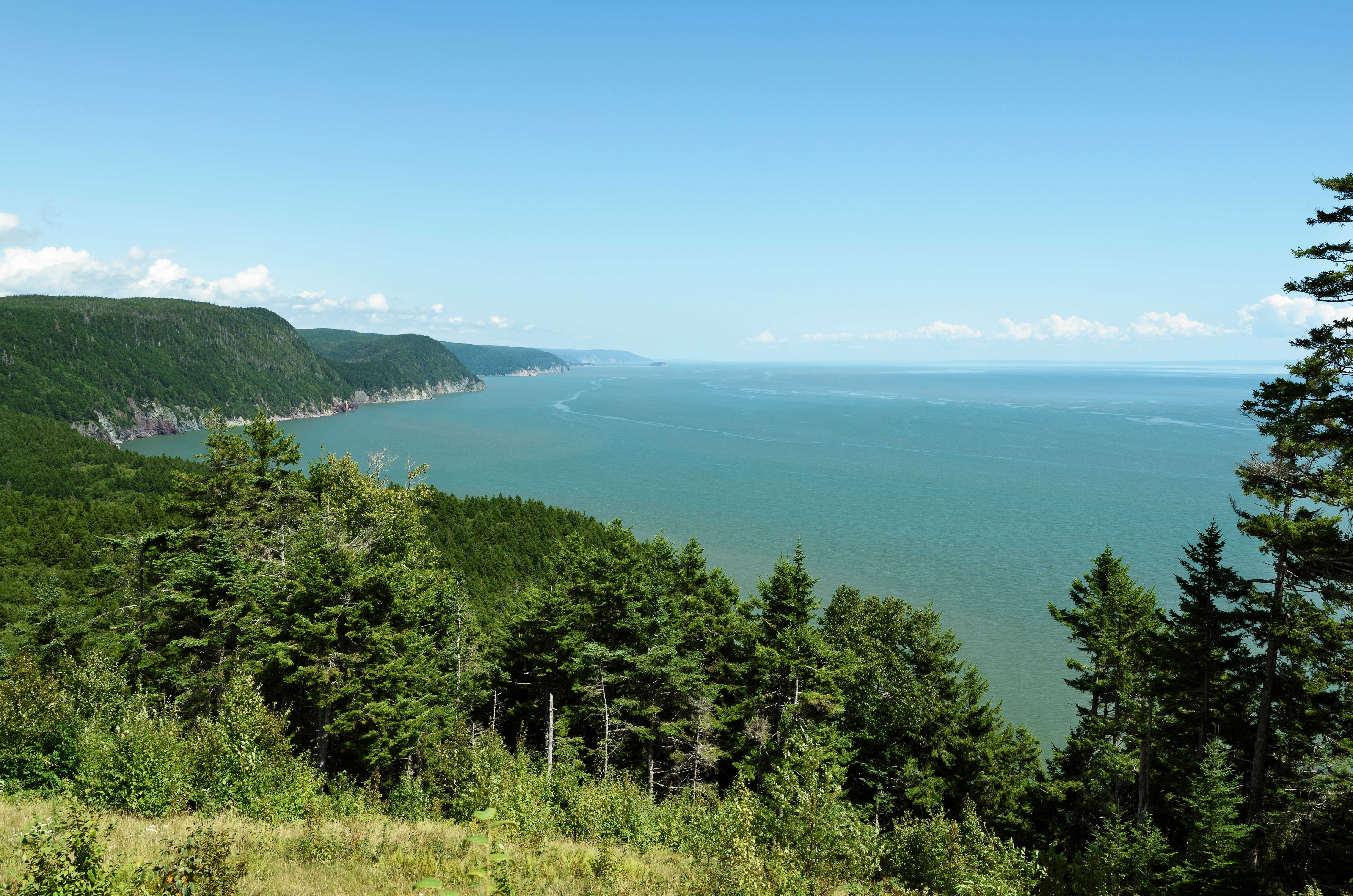 bay of fundy