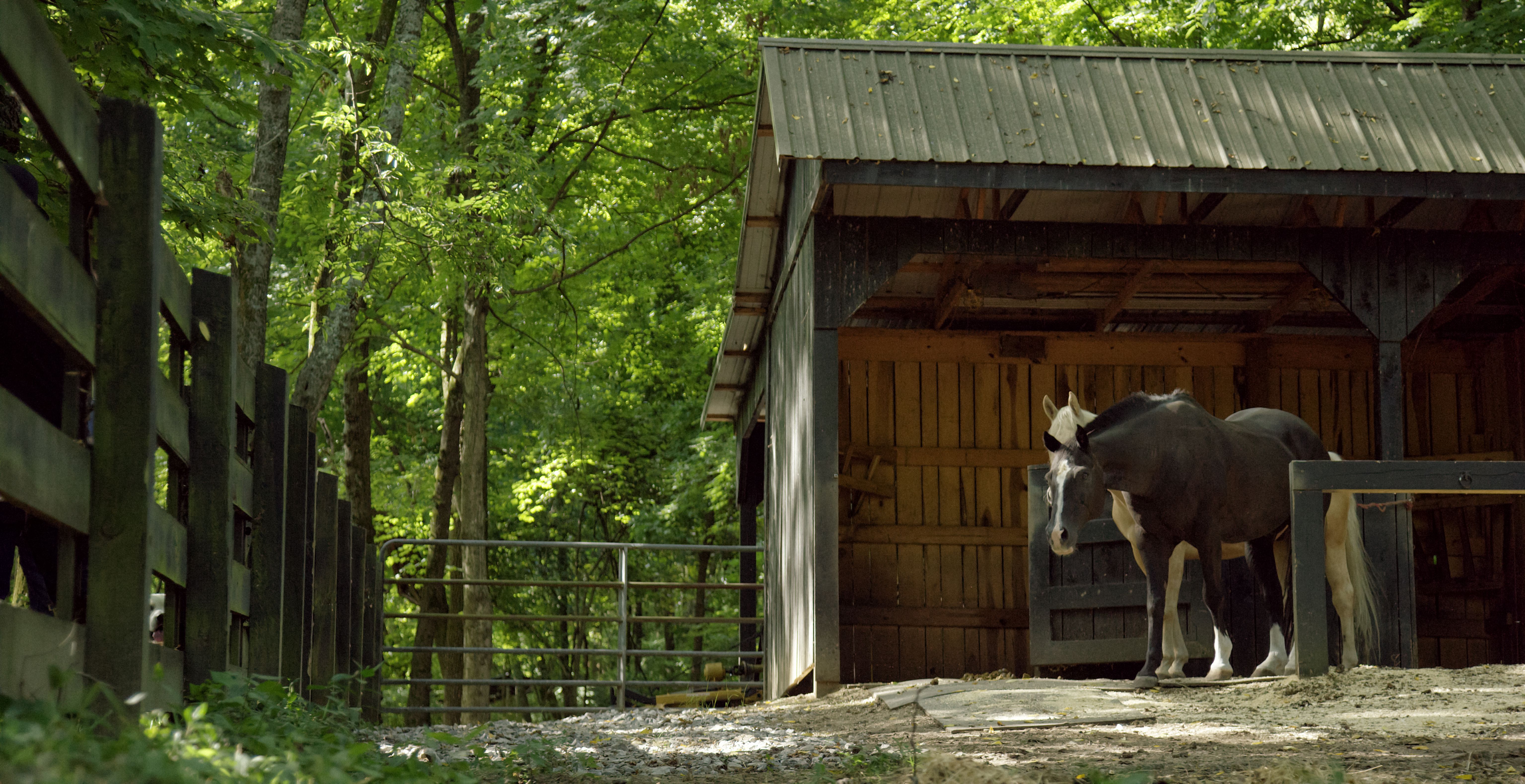horse shelter