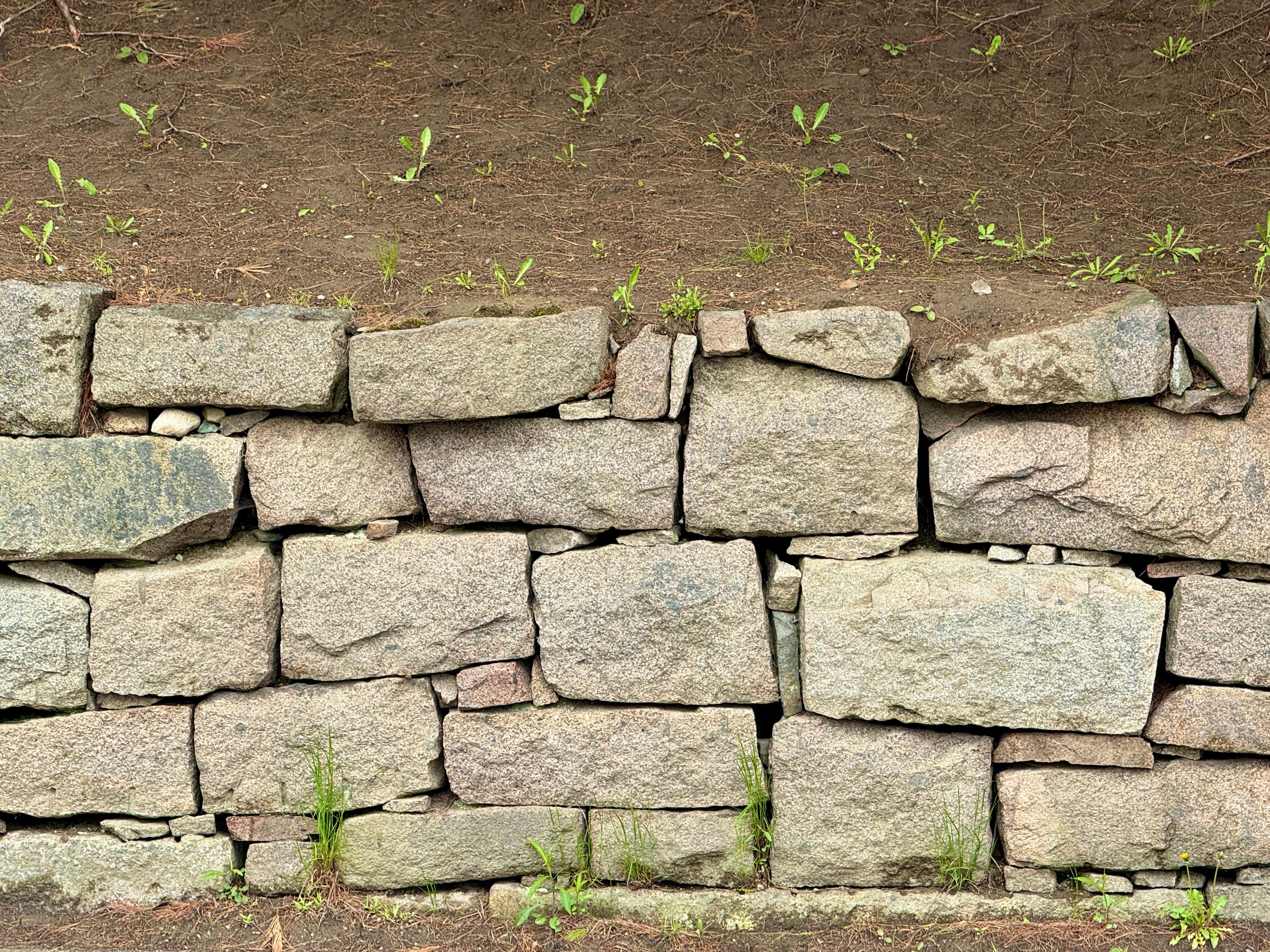 retaining wall garden
