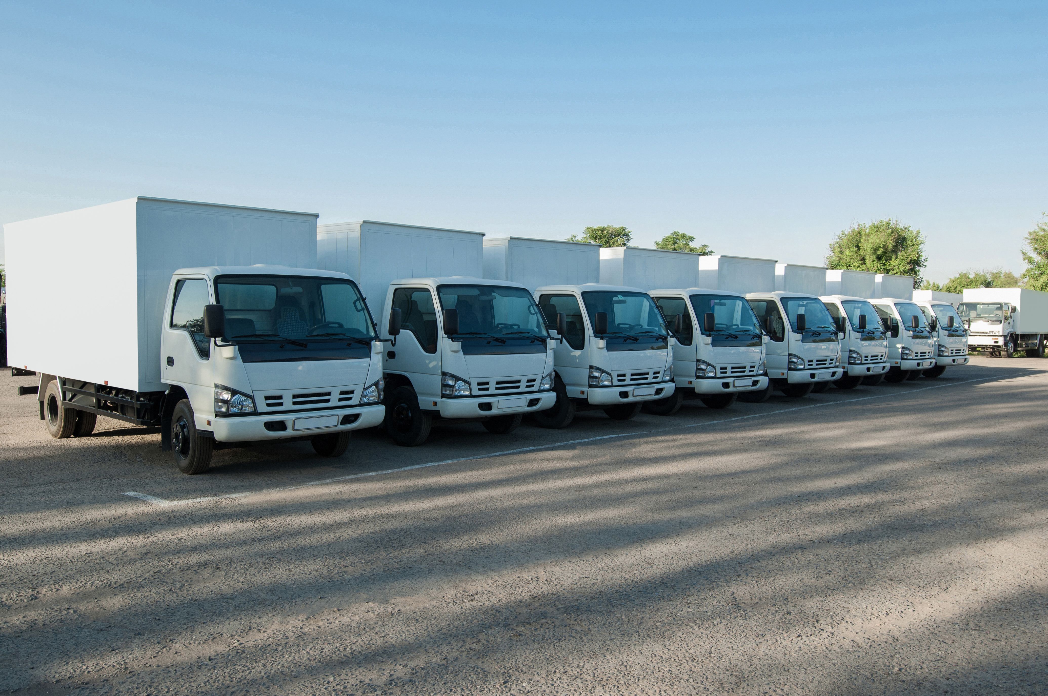 trucks stand in the parking lot in a row