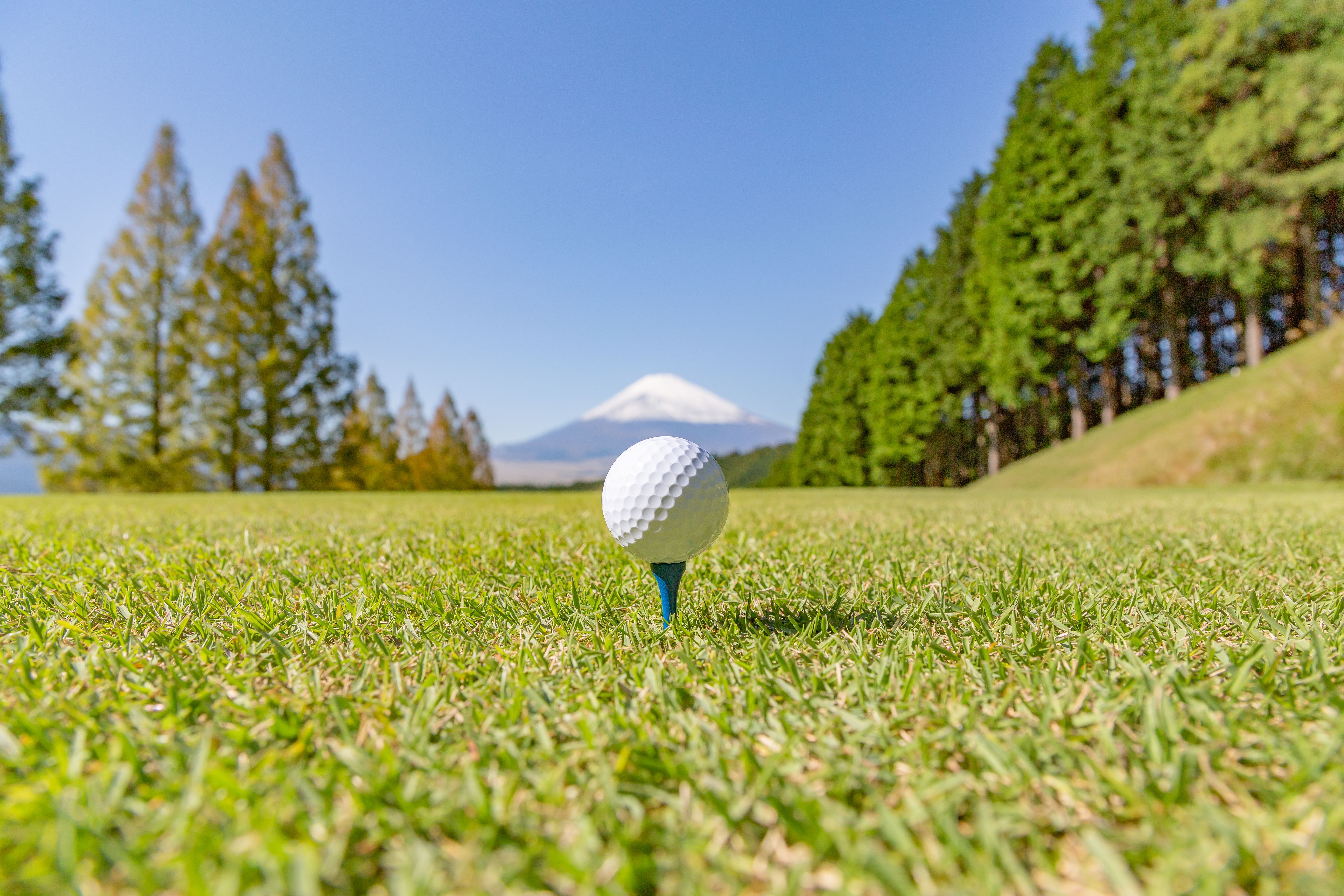 Mount Fuji golf
