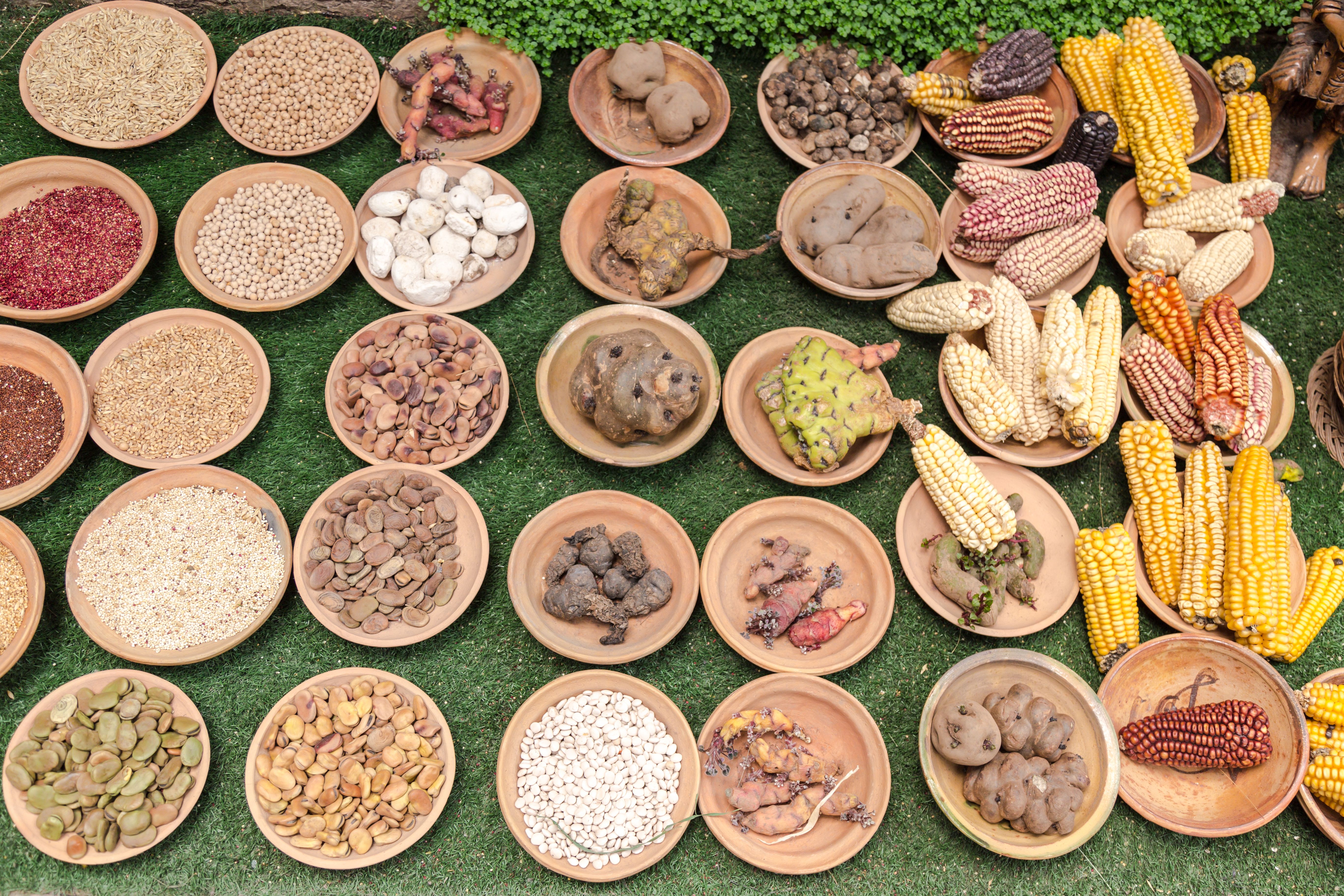 beneficios diversidad