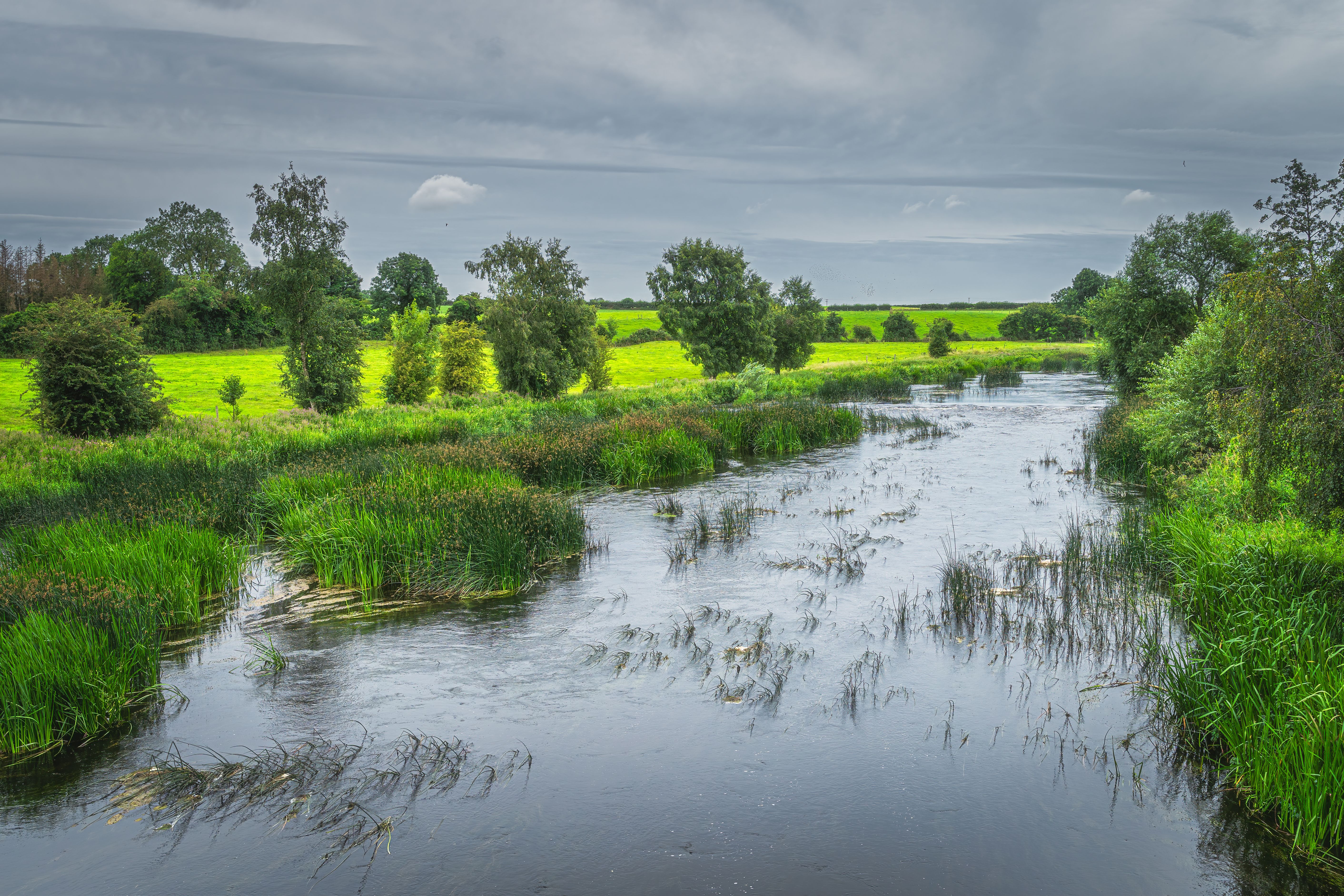 Green fields and meadows with a forest on riverbank of Boyne River
