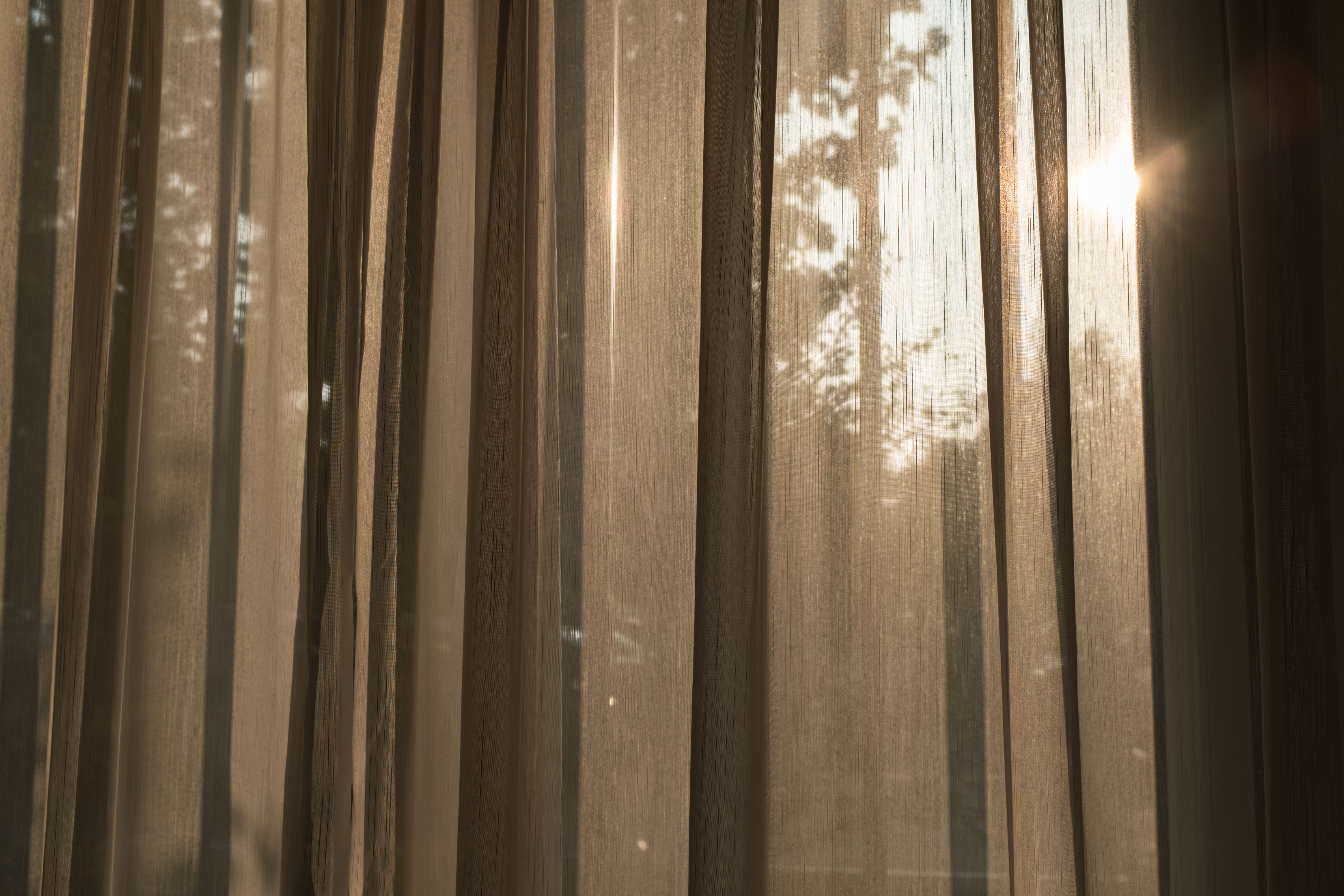 sunlight through windows