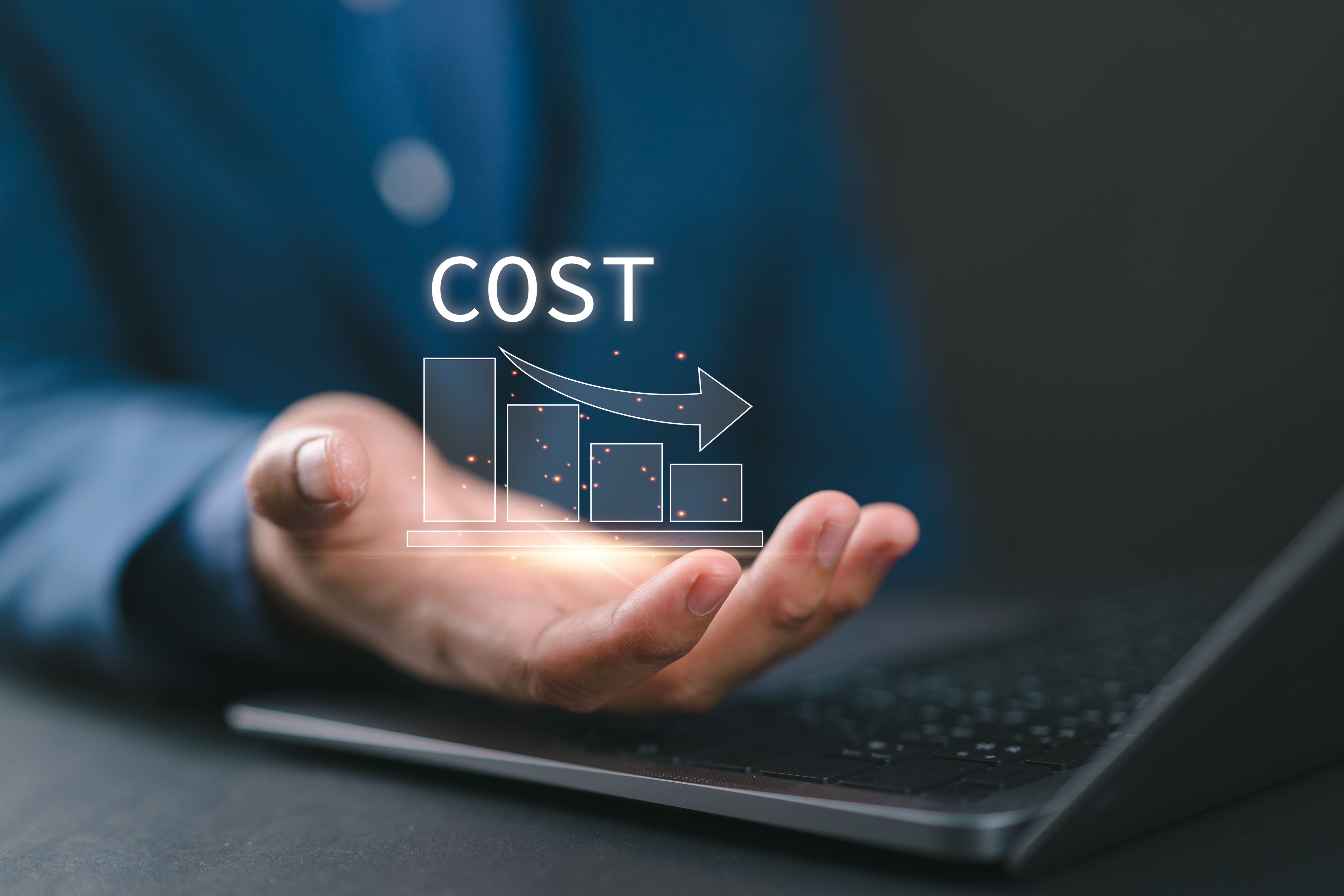 cost effective consulting