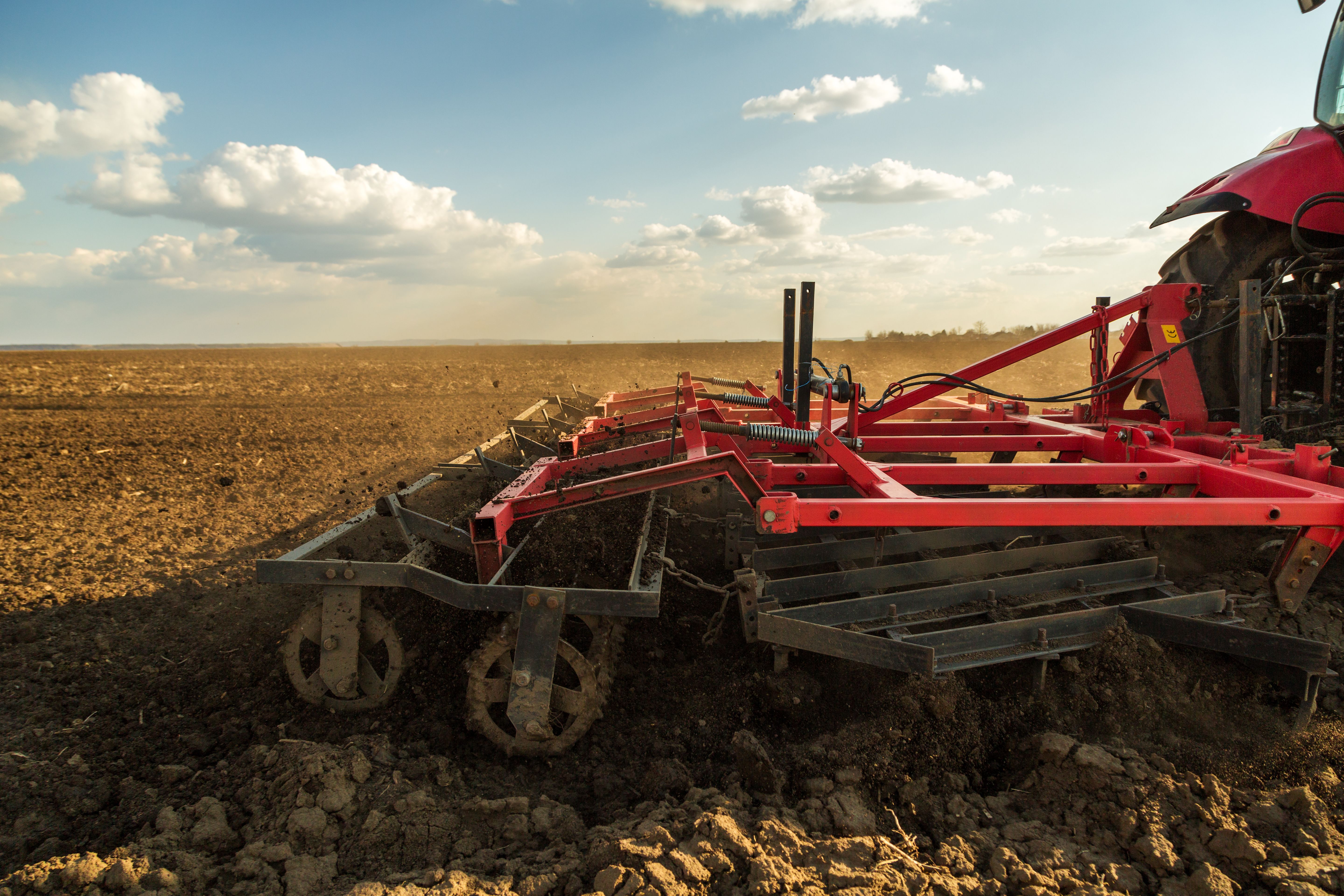 Farmer in tractor preparing land with seedbed cultivator.
