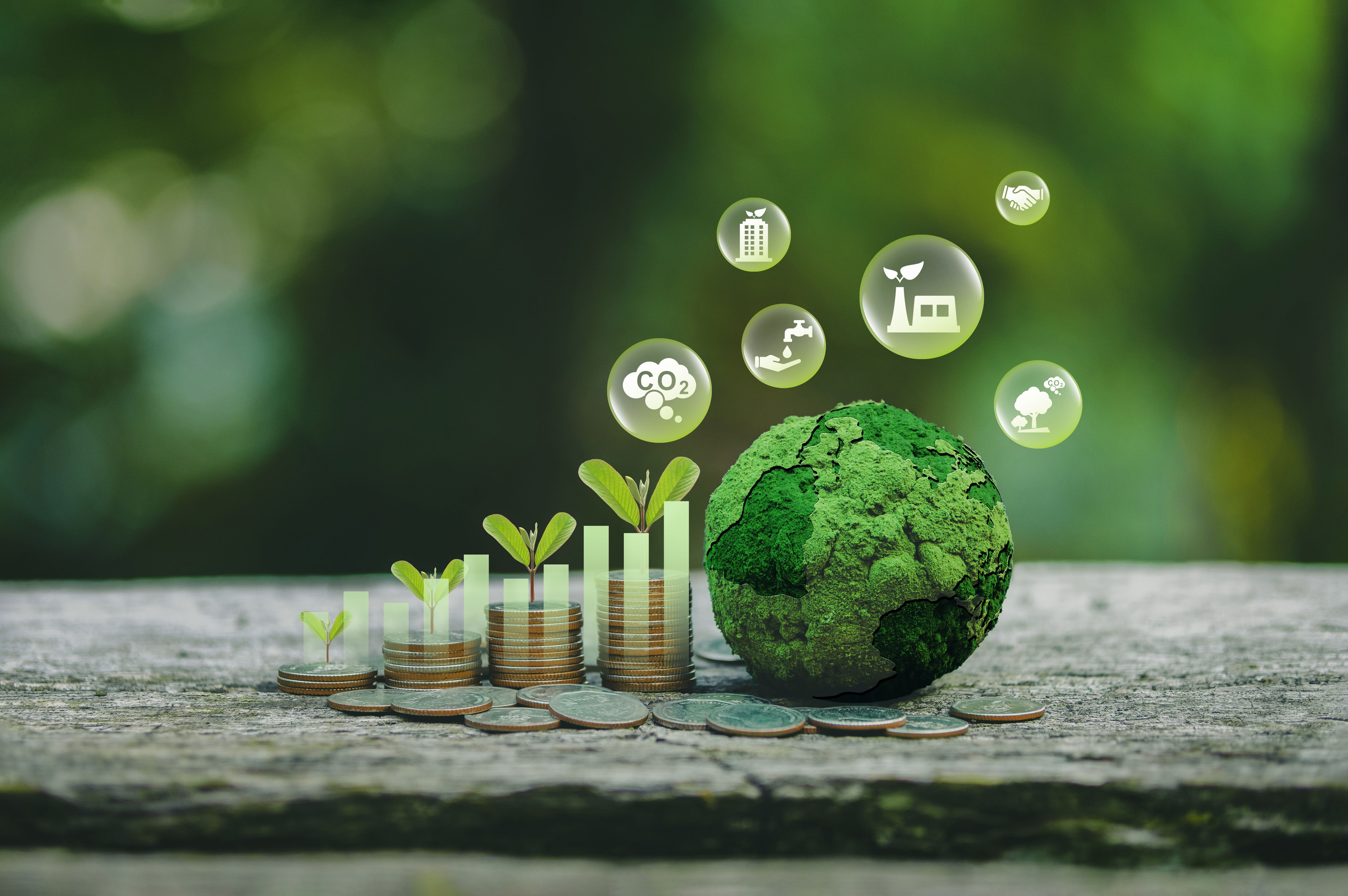 sustainable finance