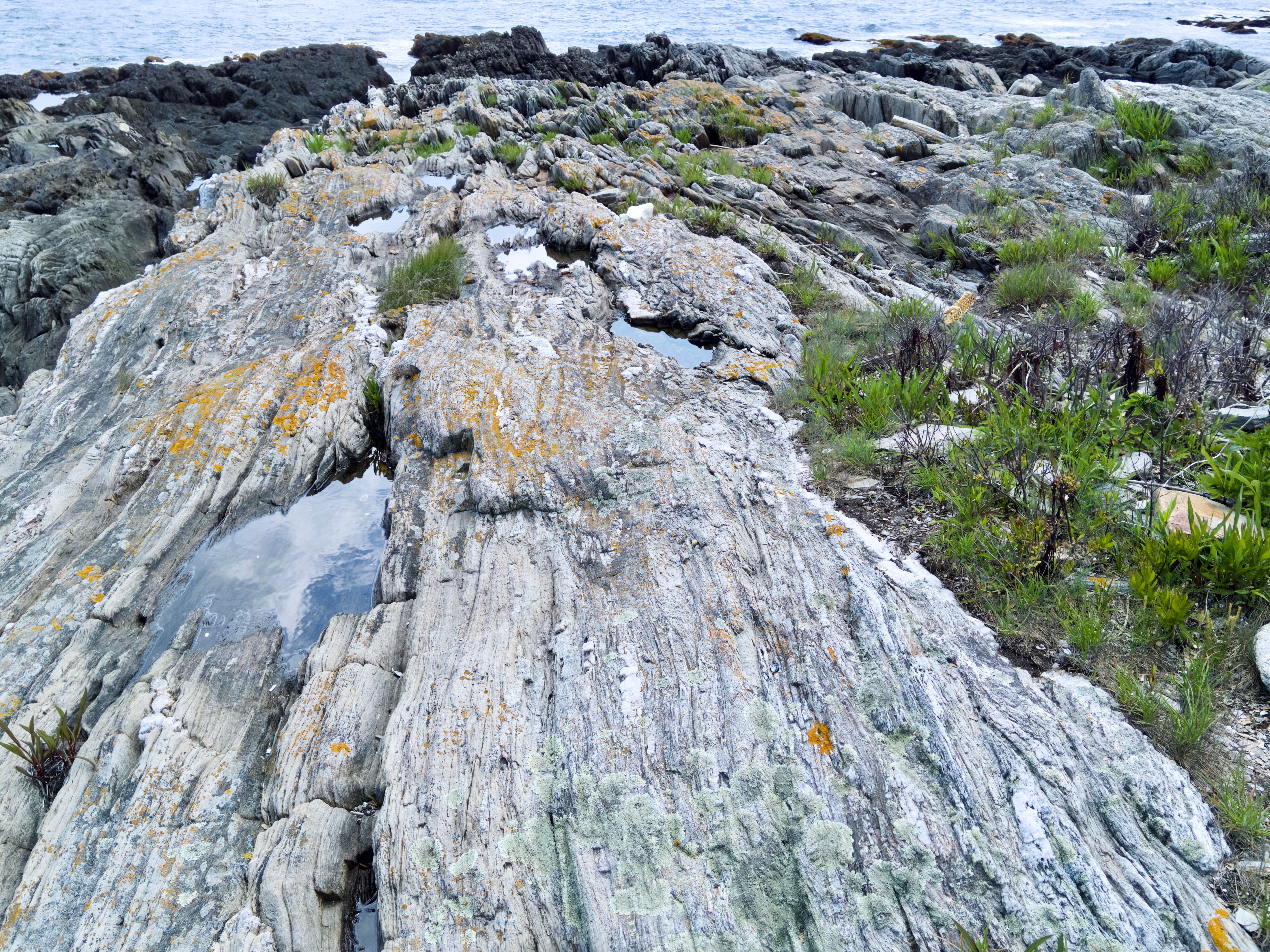 Jaquish Island Scenes 1