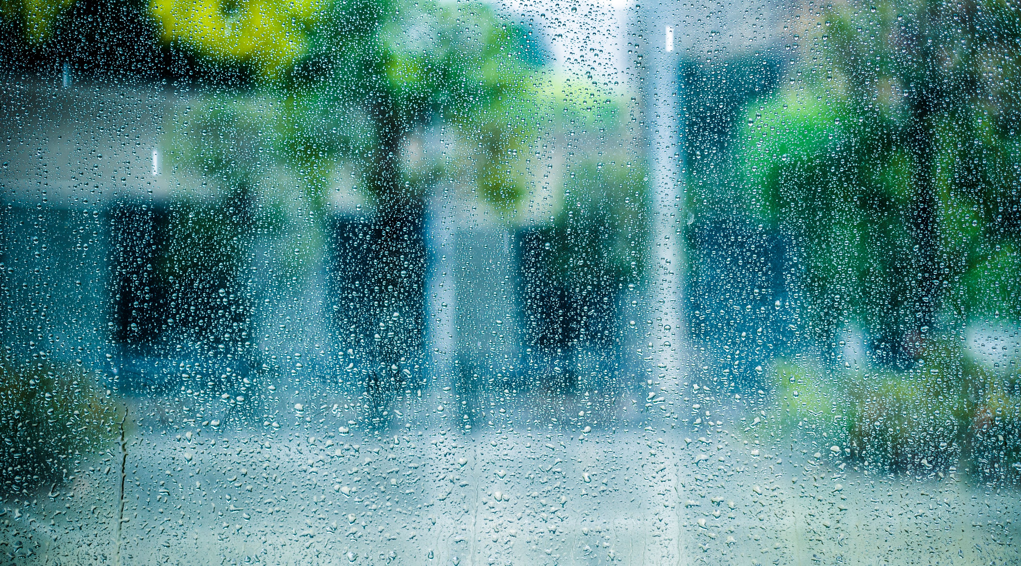 rainy window
