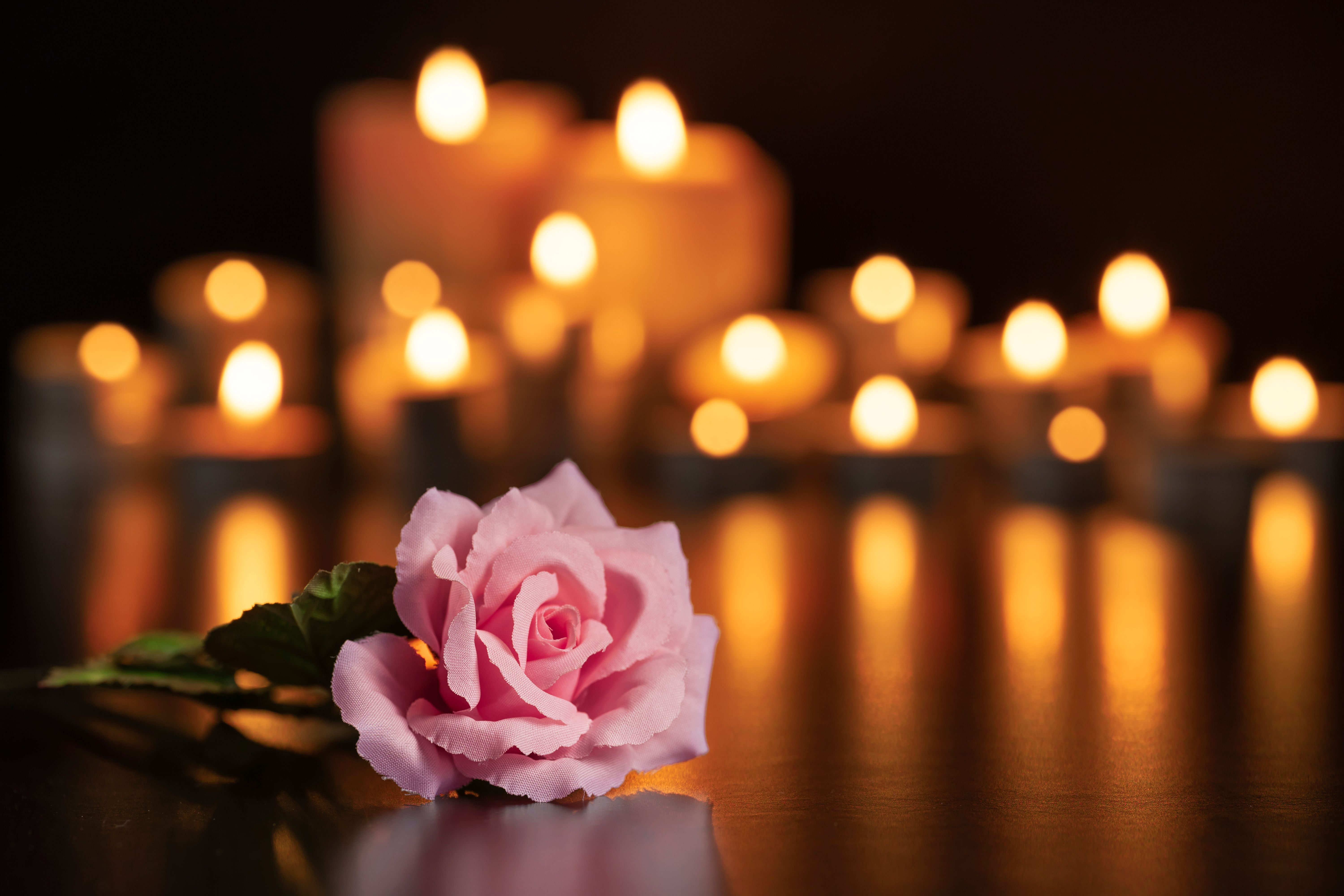roses candles