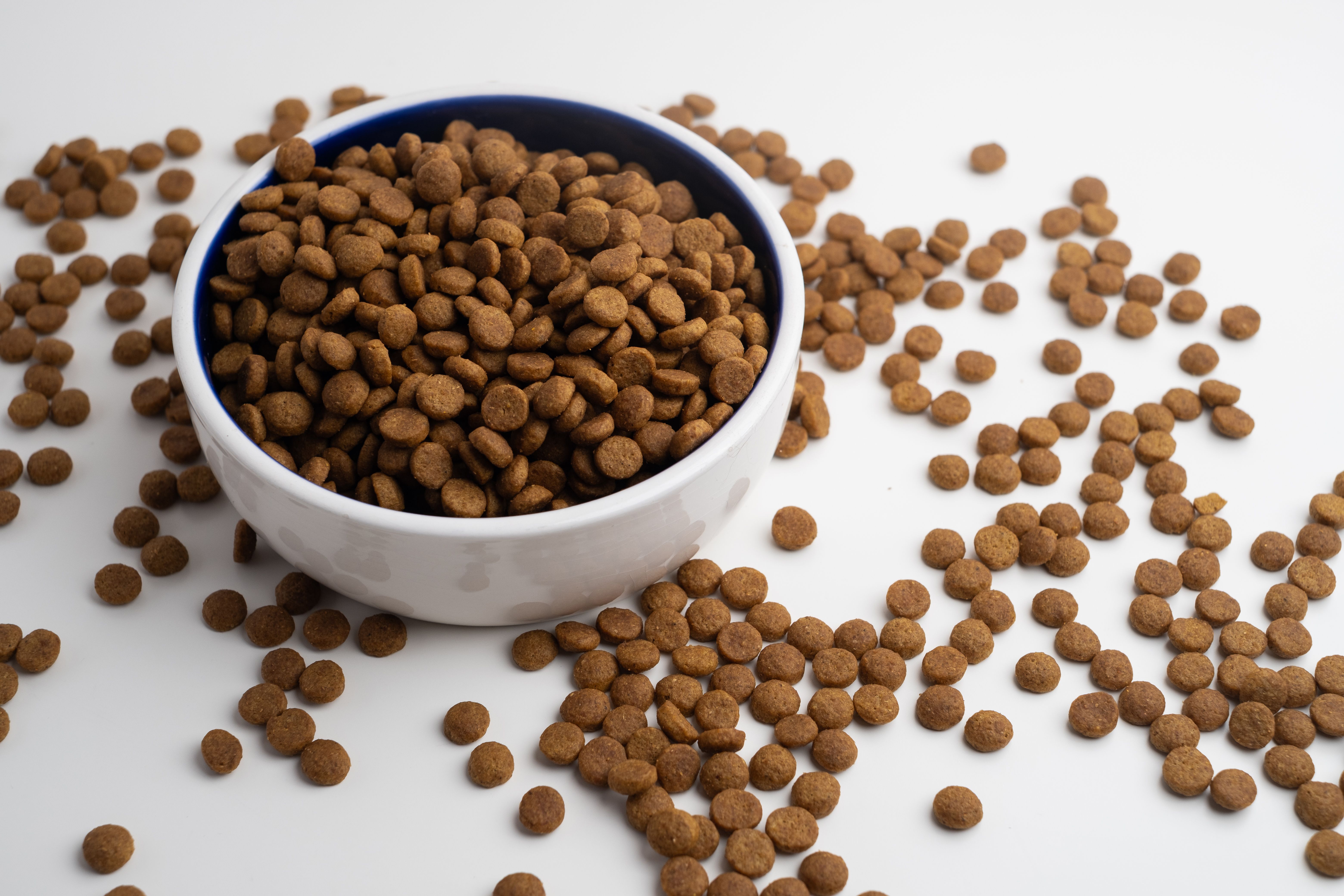 organic pet food