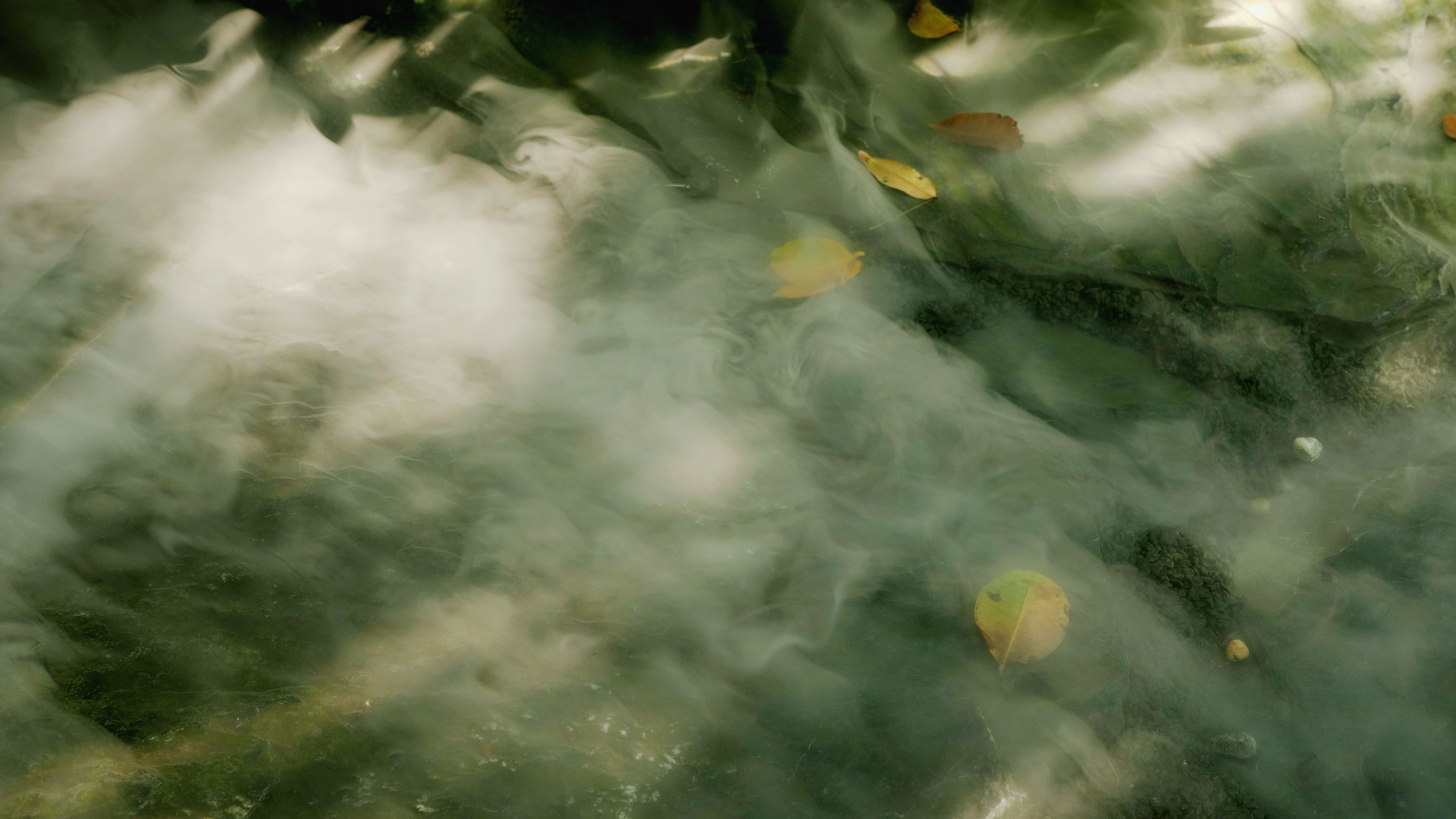 tropical vapor