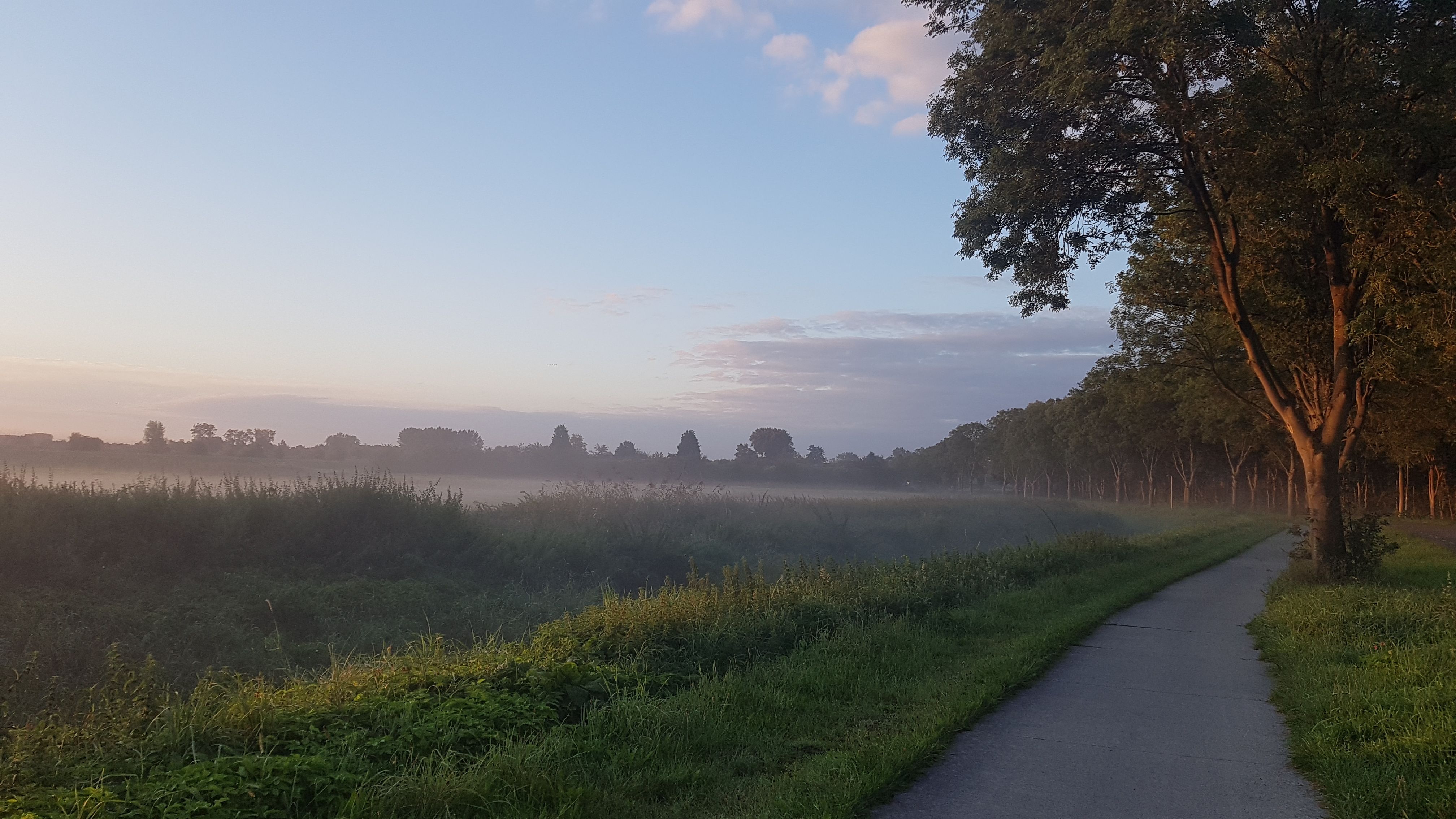 zorgverlener ochtend